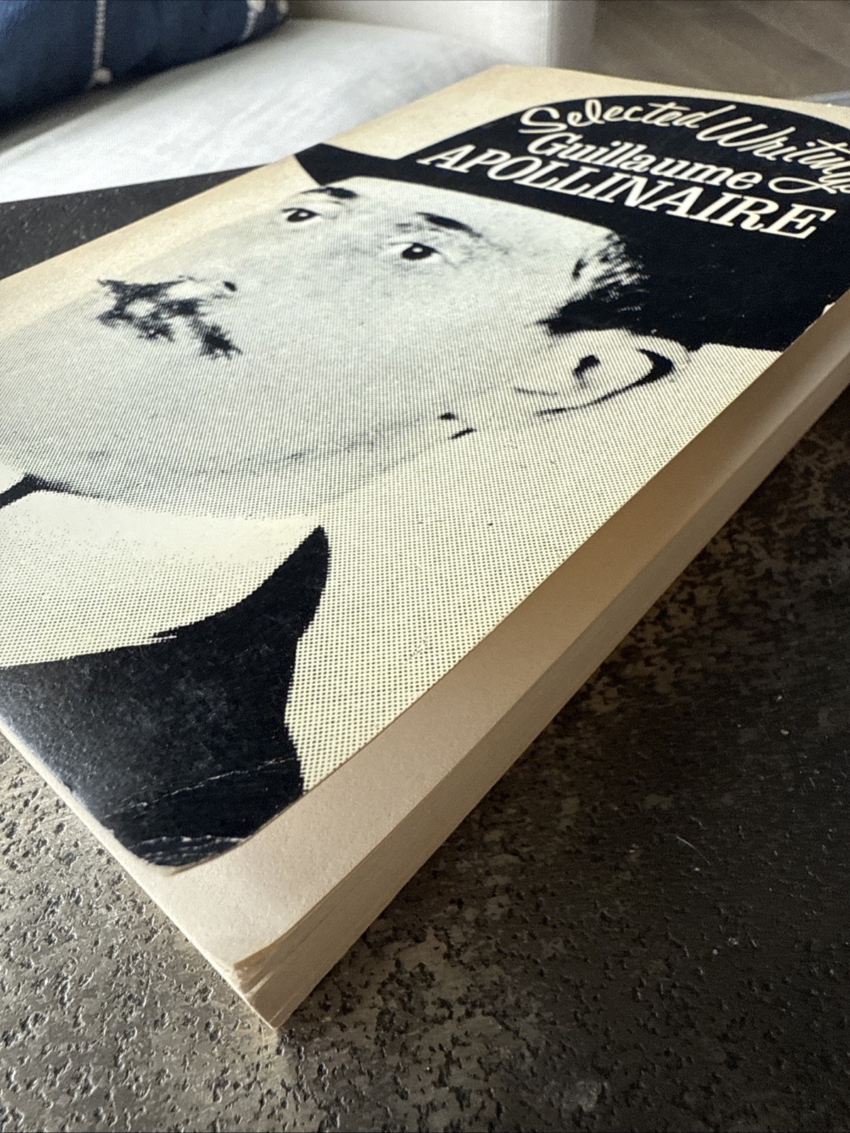 GUILLAUME APOLLINAIRE Selected Writings PB 3rd Print Roger Shattuck