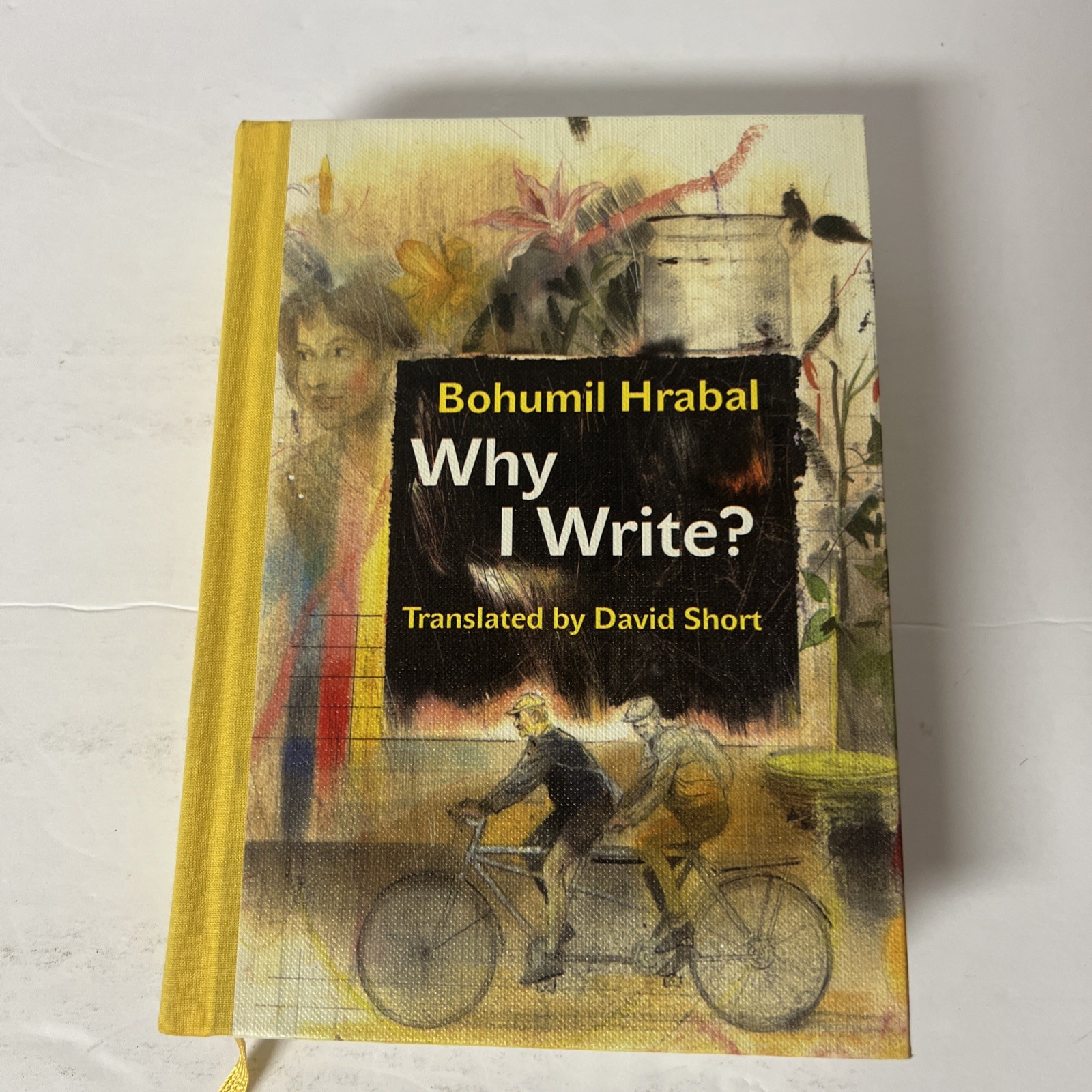 Why I Write? : The Early Prose from 1945 To 1952 by Bohumil Hrabal (2020,…