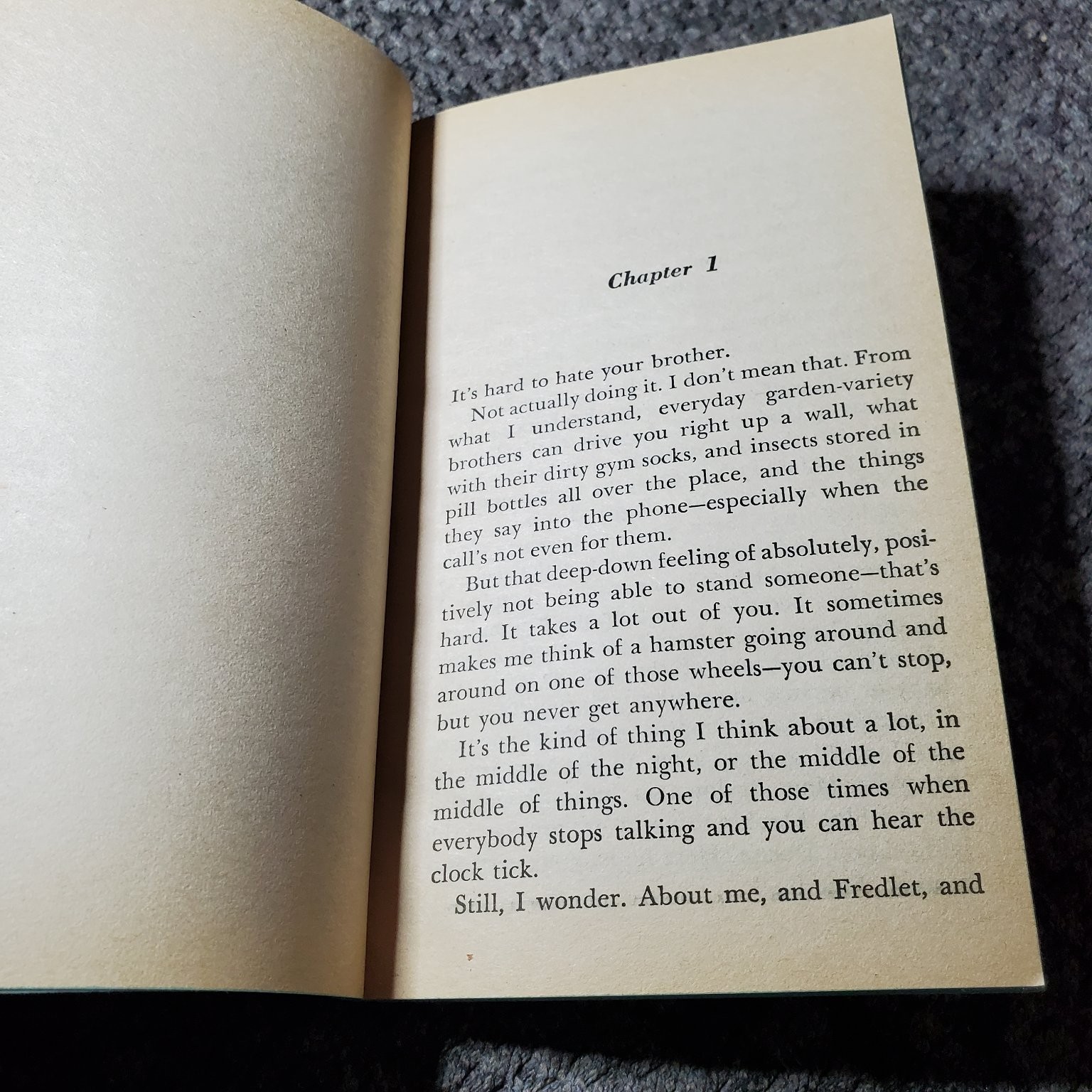 What About Me? Rodowsky 1979 Laurel-Leaf Library Young Adult Fiction Dell