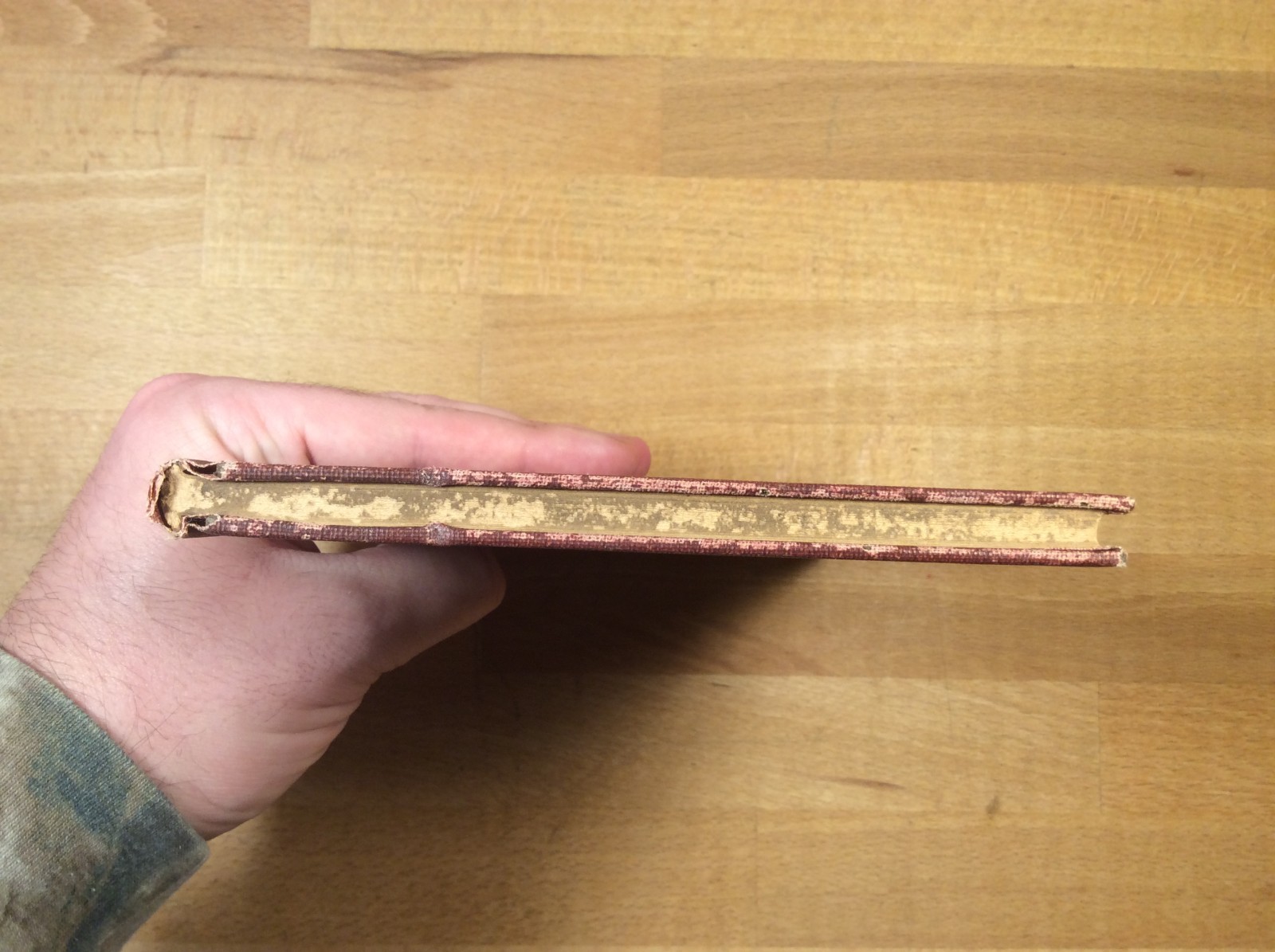 The Gold Sickle, A Tale of Druid Gaul, Eugene Sue, 1904 Hardcover