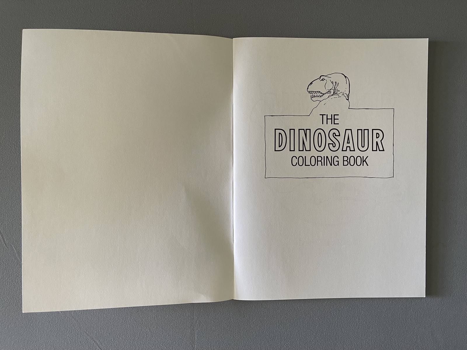 Vintage 1980 The Dinosaur Coloring Book by Anthony Rao for Dover Publications