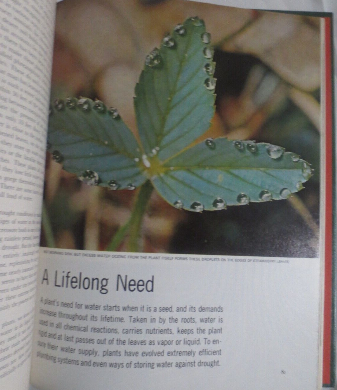 Life Nature Library The Plants 1968 194 Pages