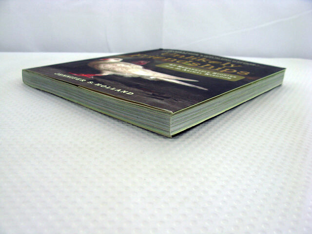 Unlikely Friendships Jennifer S Holland 2011 PB Animals Nature Relationships