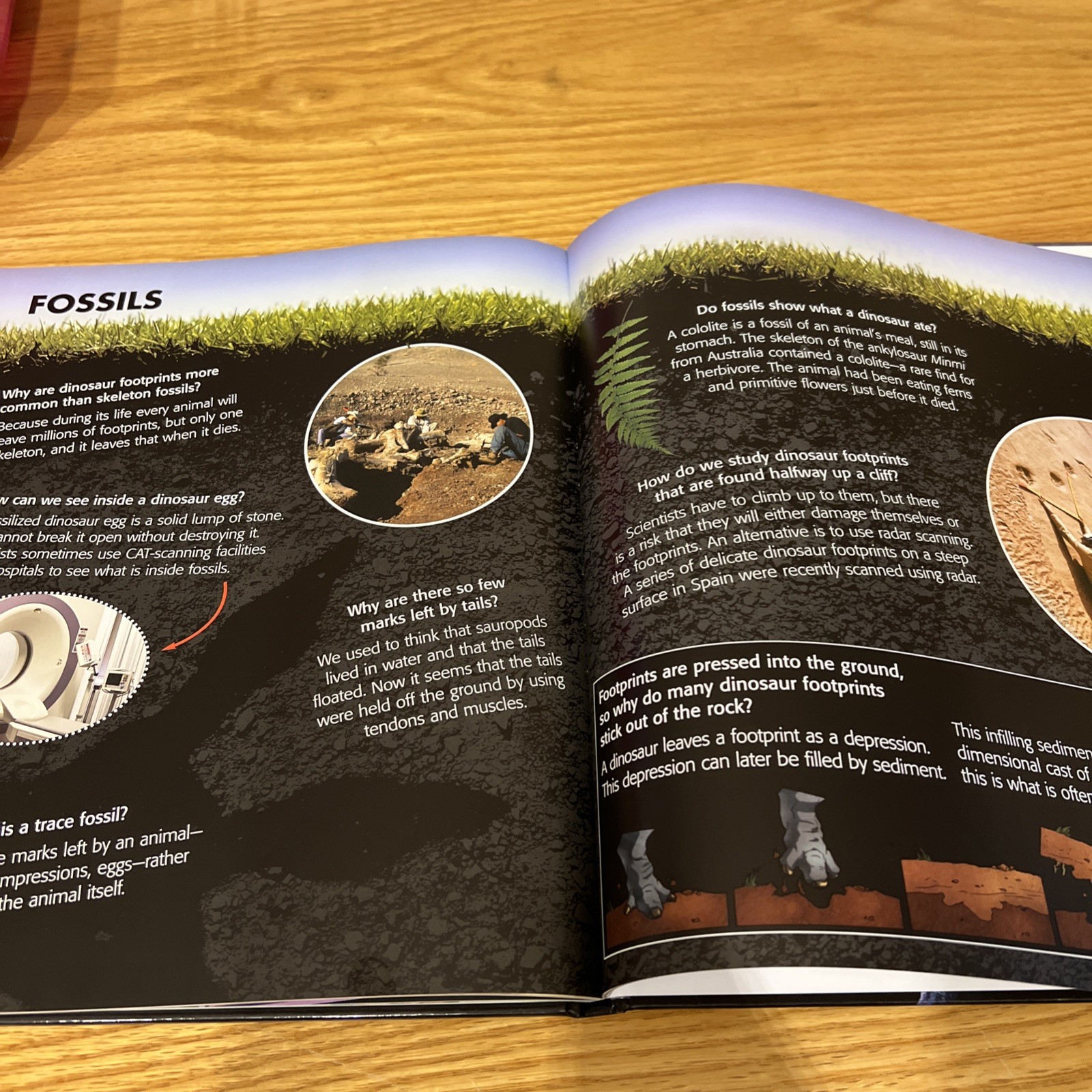 The Big Book Of Dinosaurs By Dougal Dixon Hardcover Picture Book