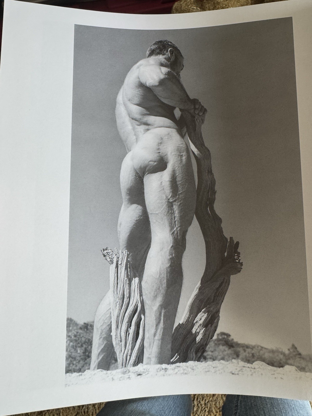 Man/Nature by Sherwin Carlquist (2002, Hardcover) Photo Book Gay Interest Nudity