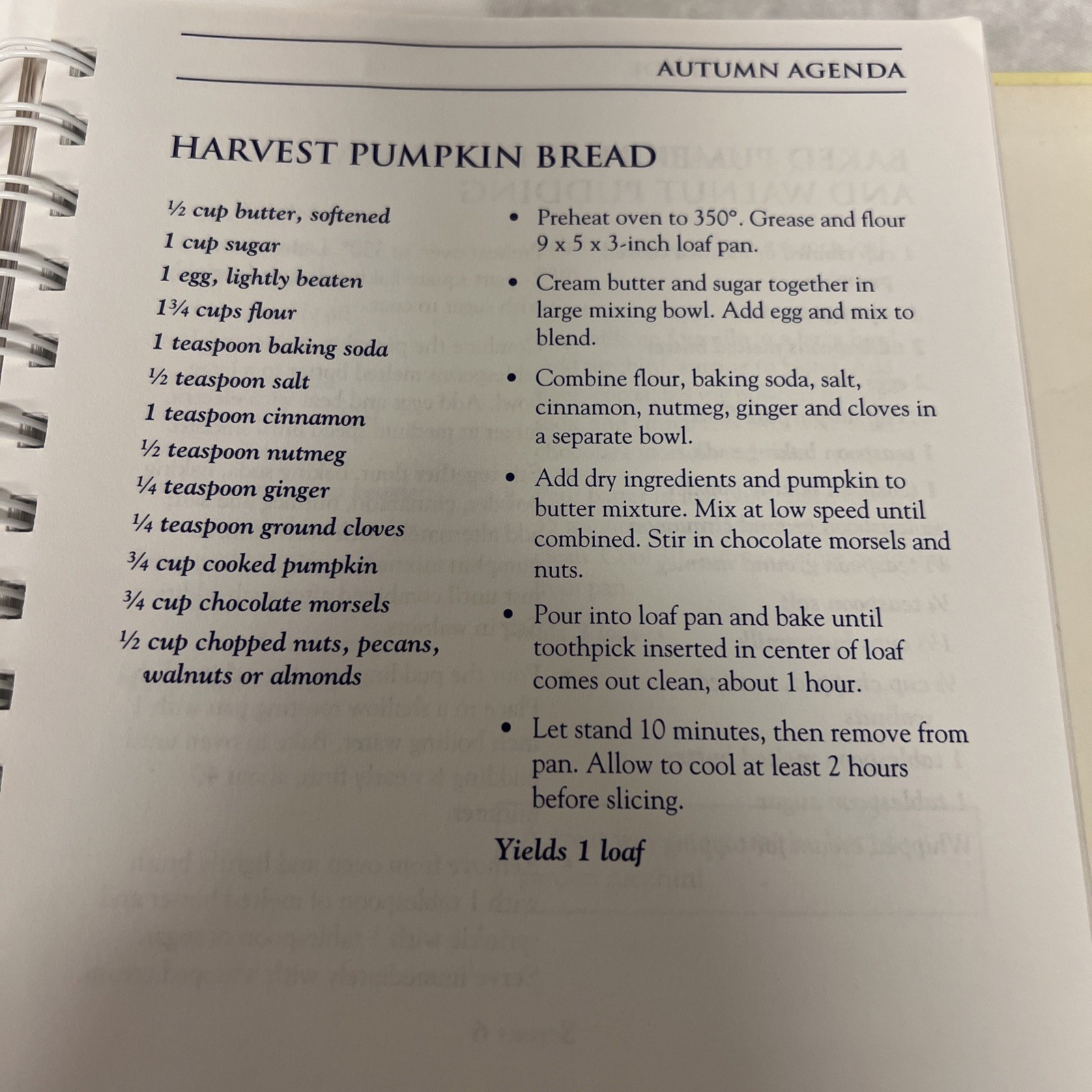 Savoring the Seasons Miller & Driscoll Cookbook Seasonal Recipes HC