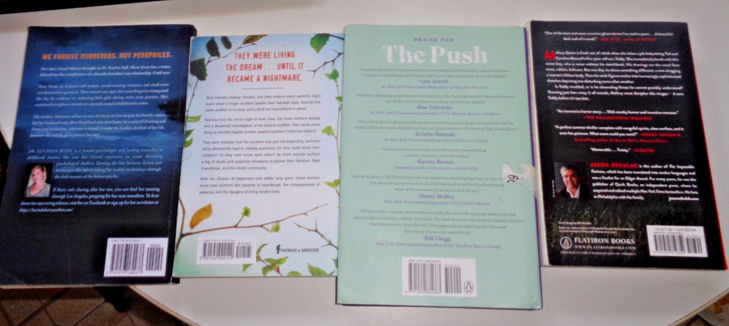 4 THRILLER Saving Noah, Best of Friends Lucinda Berry THE PUSH Hidden Pictures