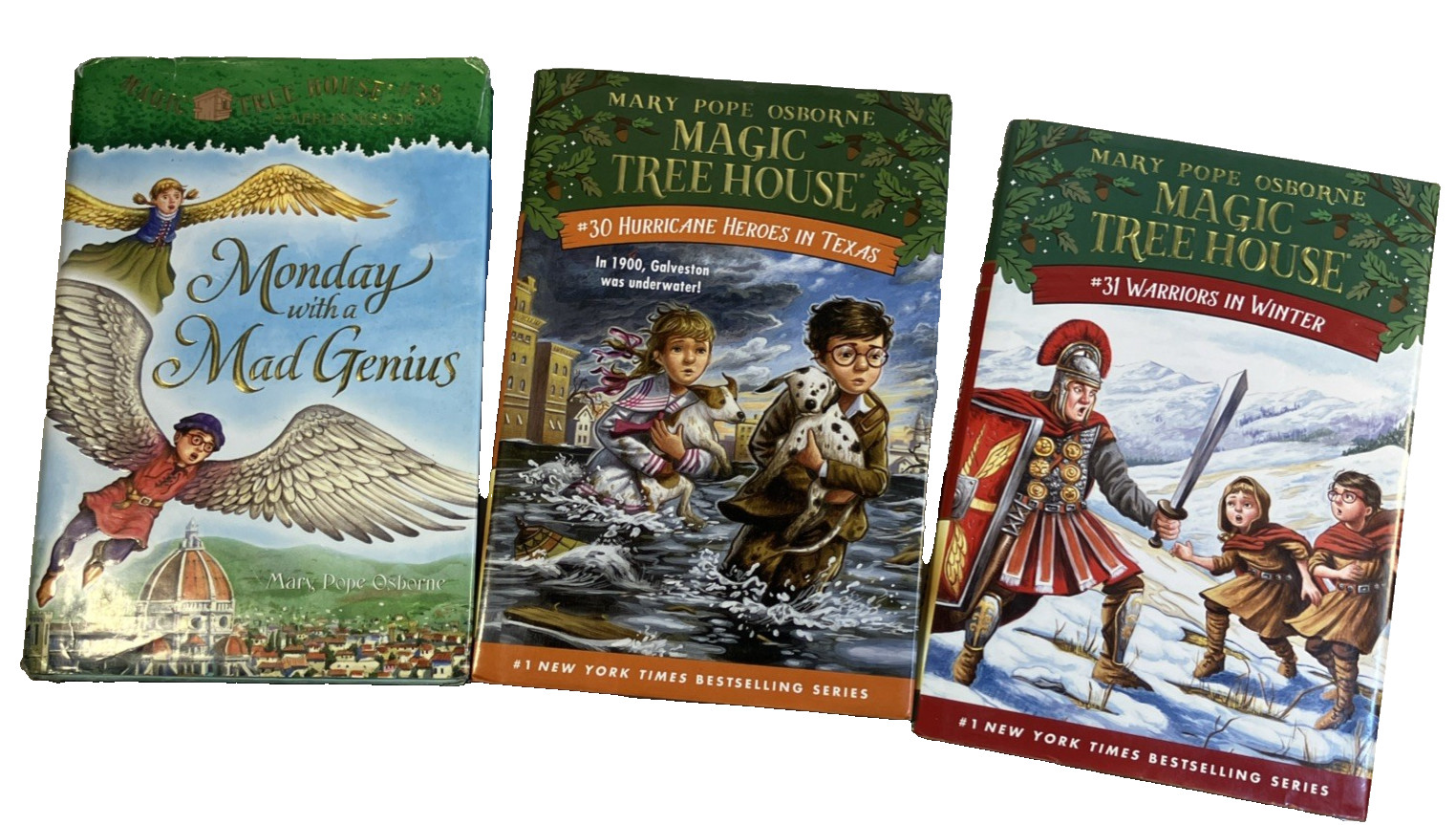 3 Magic Treehouse Books # 30 #31 #38 Warriors in Winter Mary Pope Osborne + 2