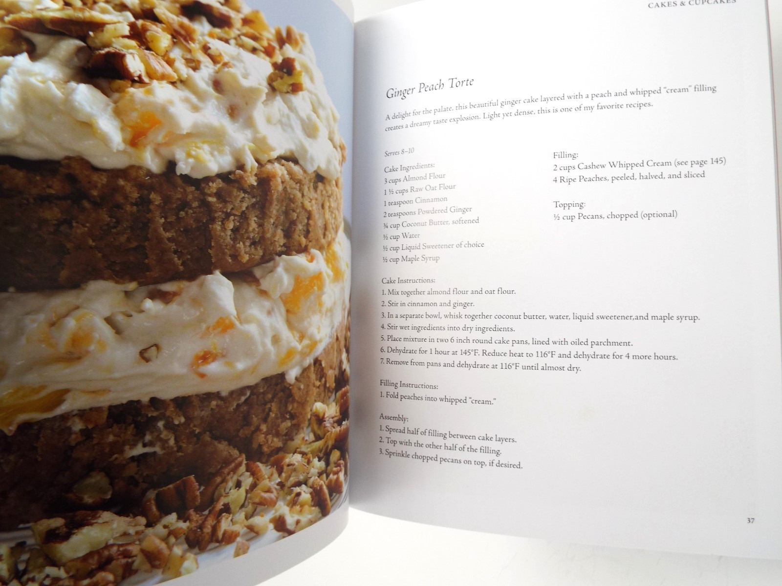 Rawmazing Desserts Easy Raw Food Recipes for Goodies ~ Susan Powers PB NEW