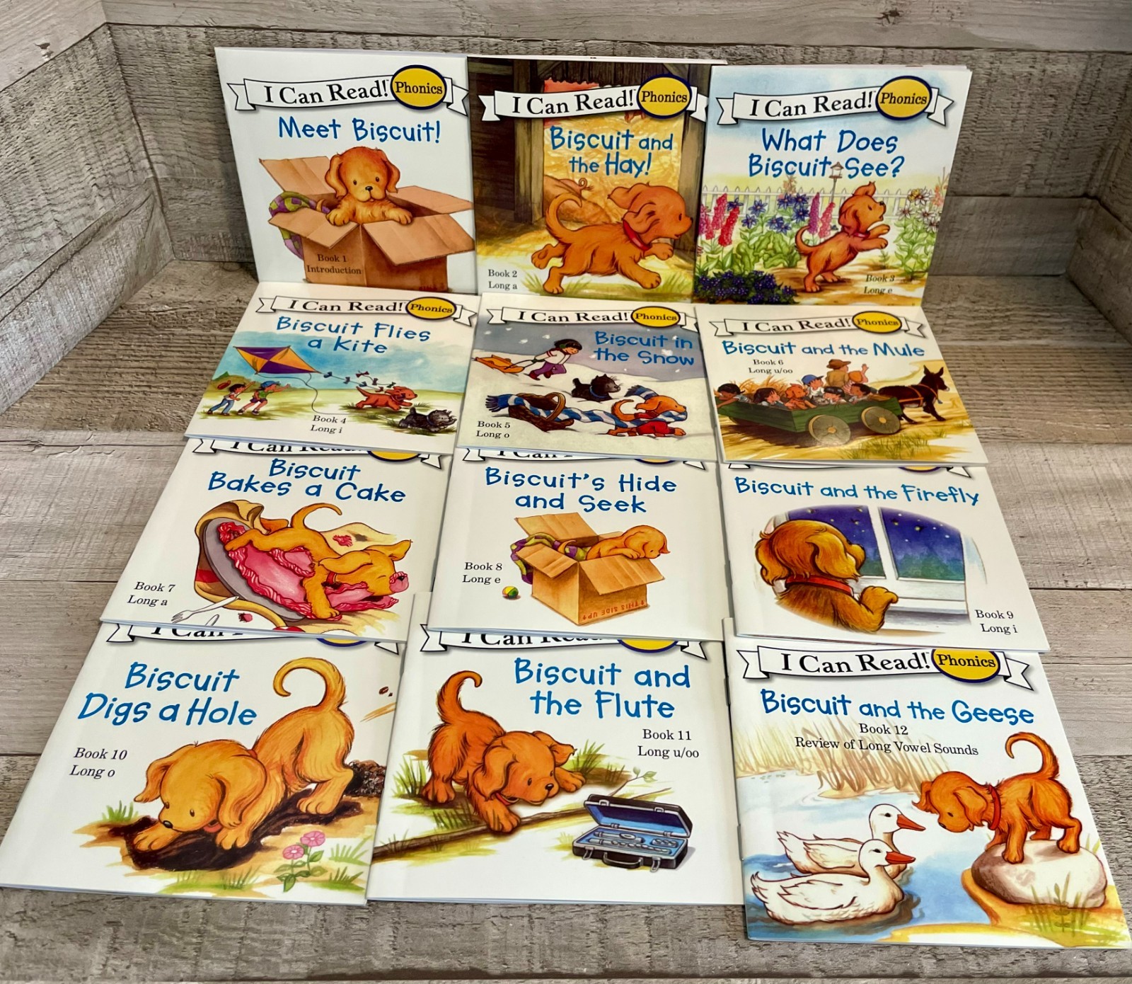 I Can Read Phonics Meet Biscuit 12 Book Set – Travel Size