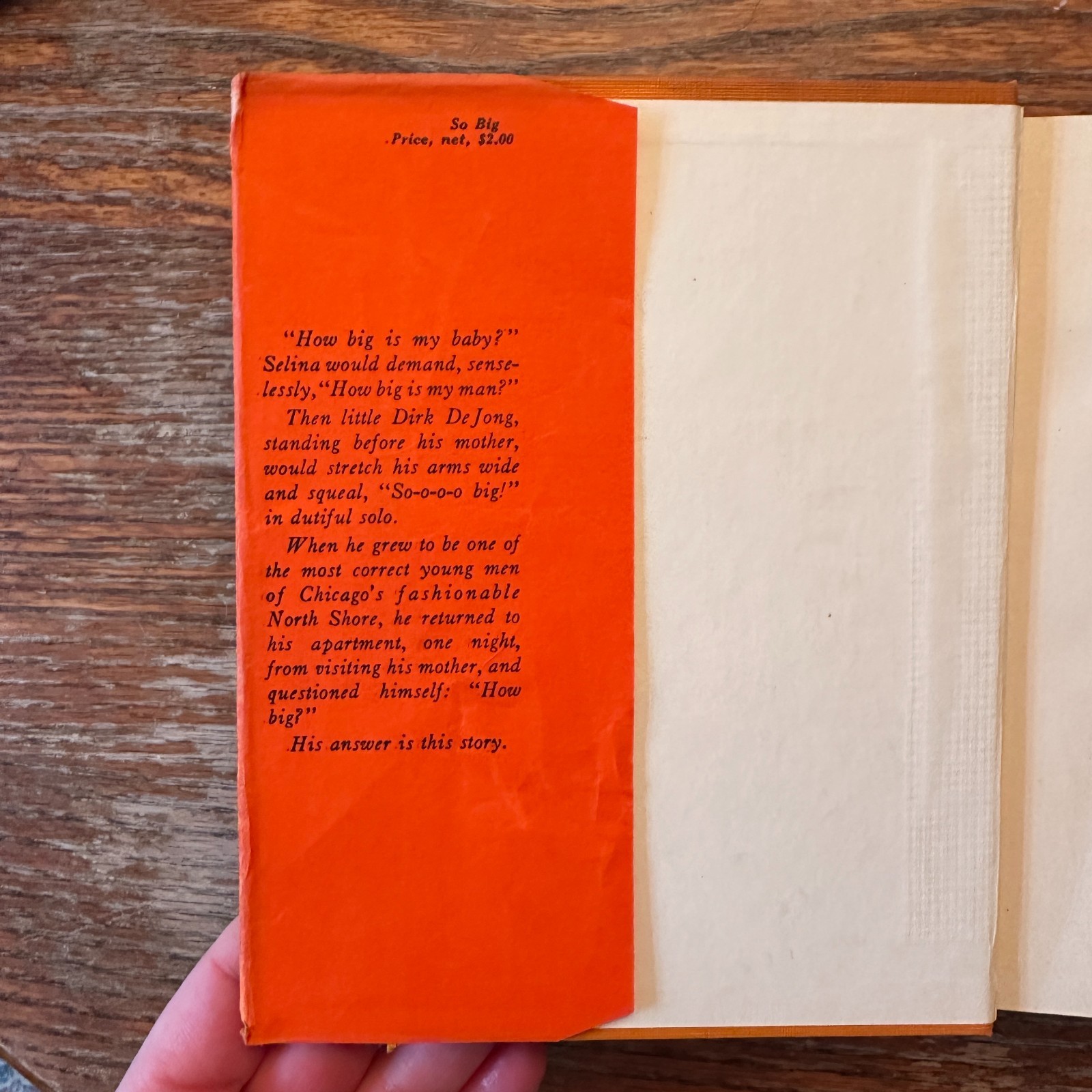 So Big by Edna Ferber 1924 17th Printing Hardcover W Dust Jacket GOOD