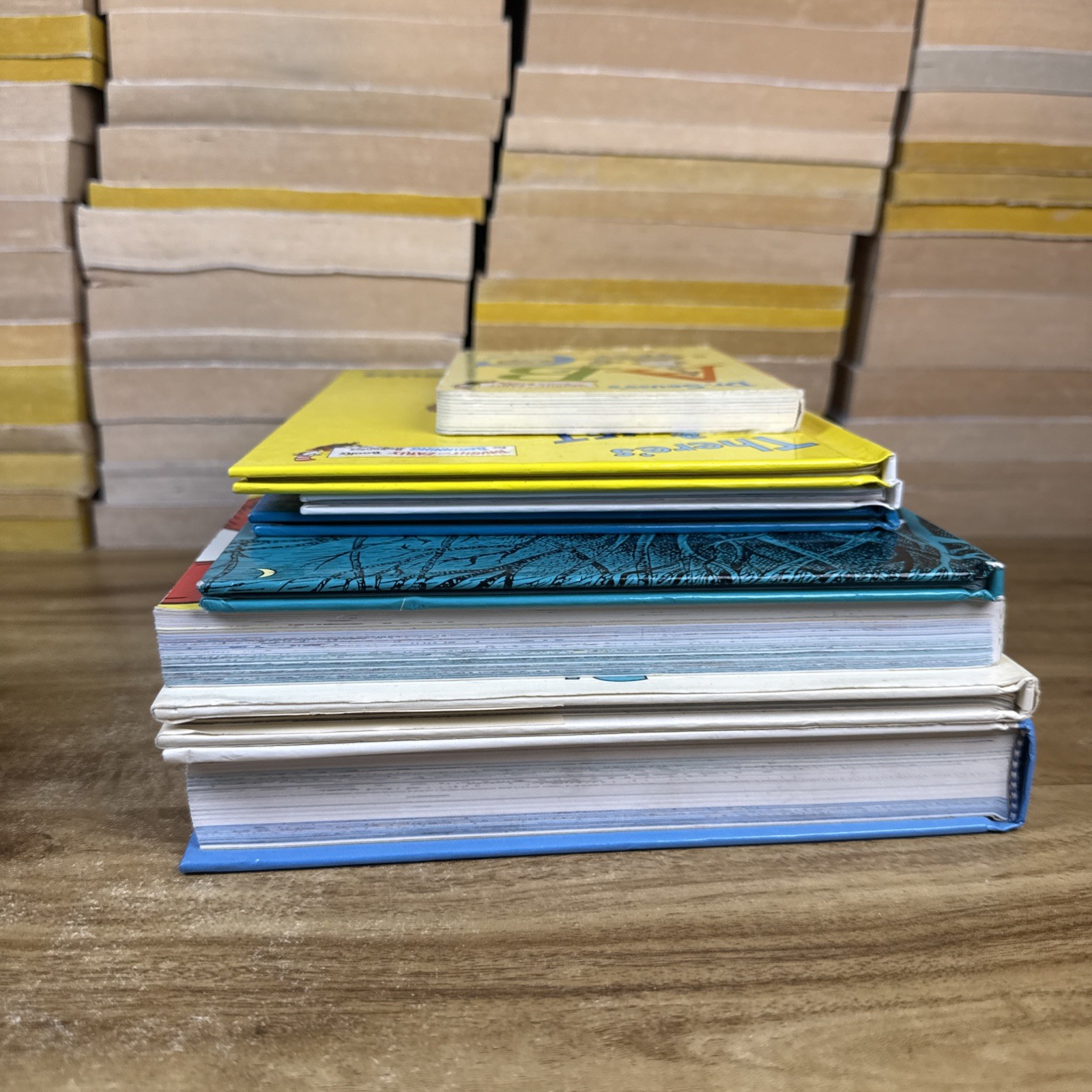 Lot Of 8 Dr Suess Hardcover Wocket Hateful Of Suess Bundle