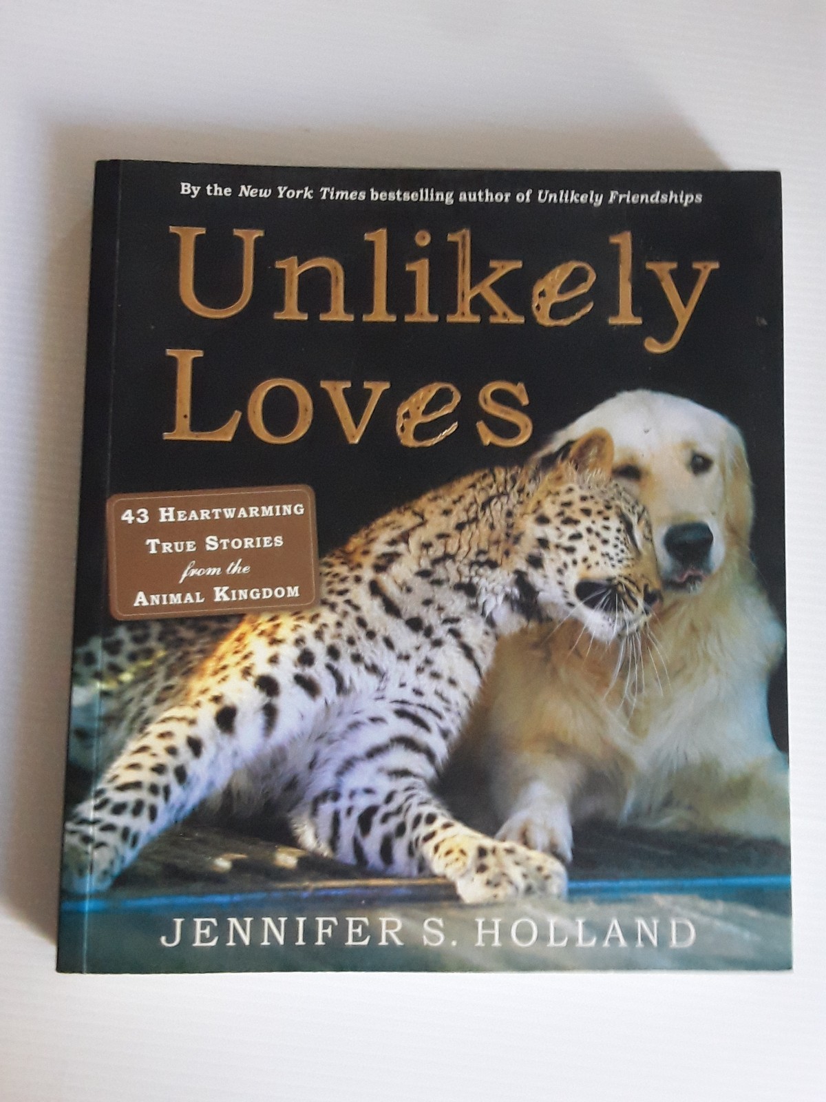 Unlikely Loves By Jennifer S. Holland 43 Heartwarming True Stories Animals Pets