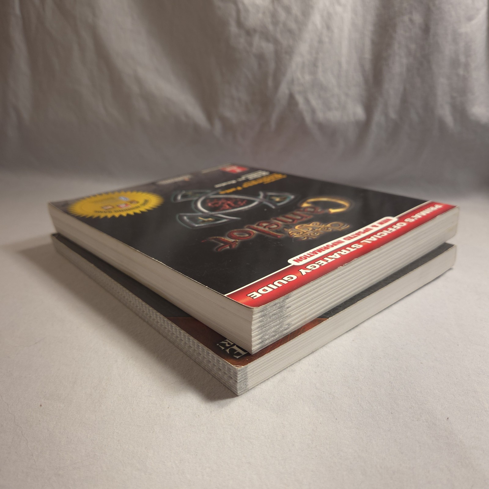 Dark Age of Camelot Strategy Guide & Atlas Mythic Entertainment Books No MAP