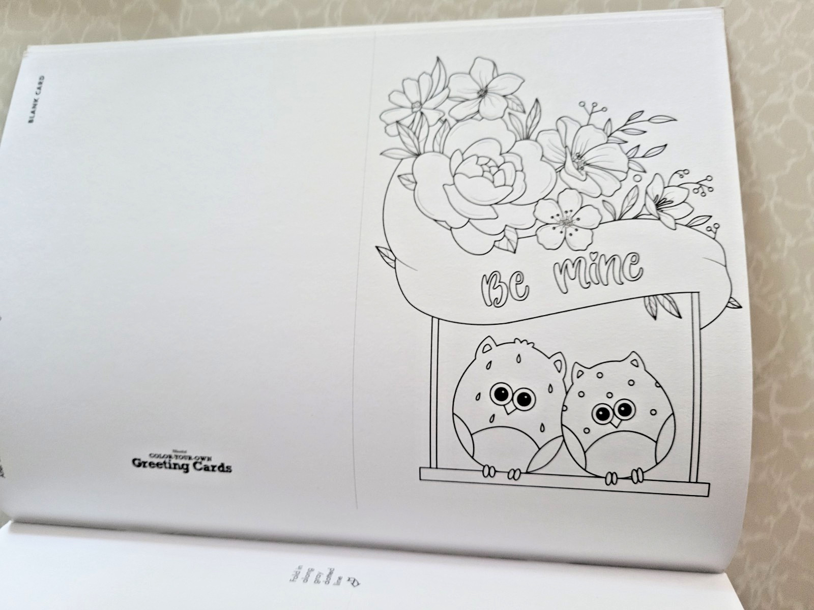COLOR YOUR OWN GREETING CARDS Create 24 Fun & Festive Cards – Children & Adult