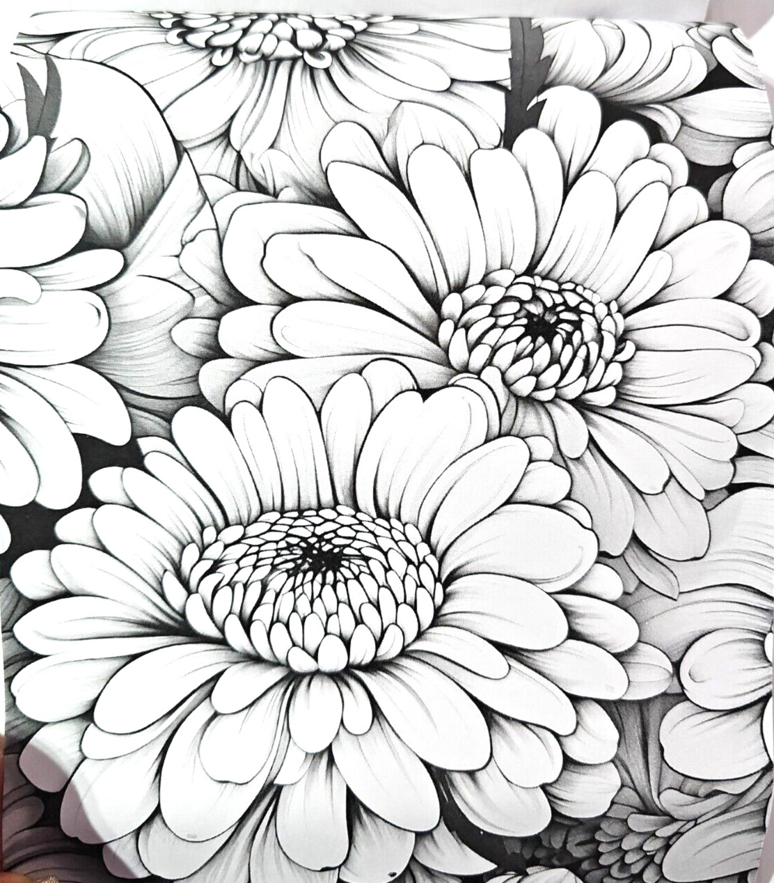 Coloring Book of Flowers 6.75″x10″ w/ 20 Pages of Single-Sided Images