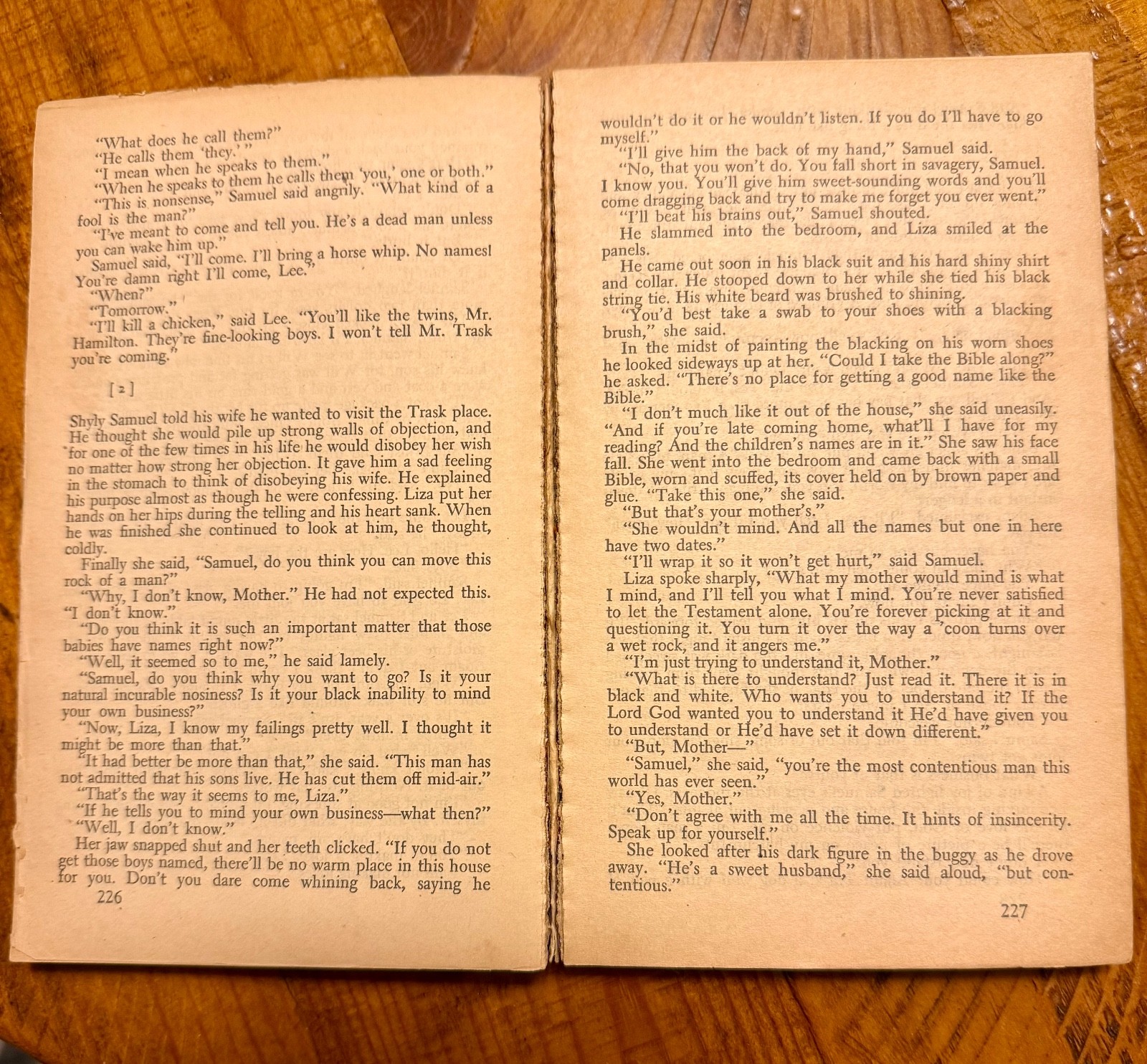 Lot of 17 Classic Lit Fiction Books (Varied Authors)