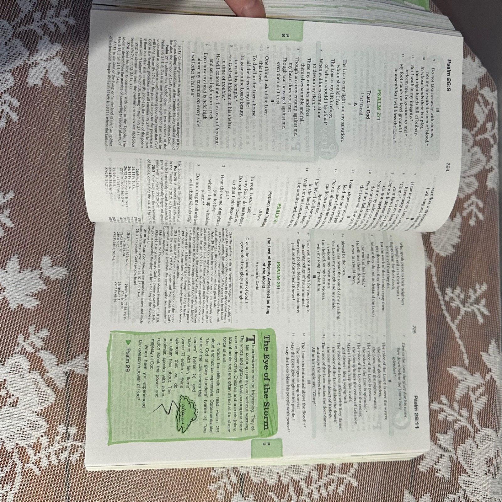 The Catholic Youth Bible Revised Edition New American Bible Saint Marys Press