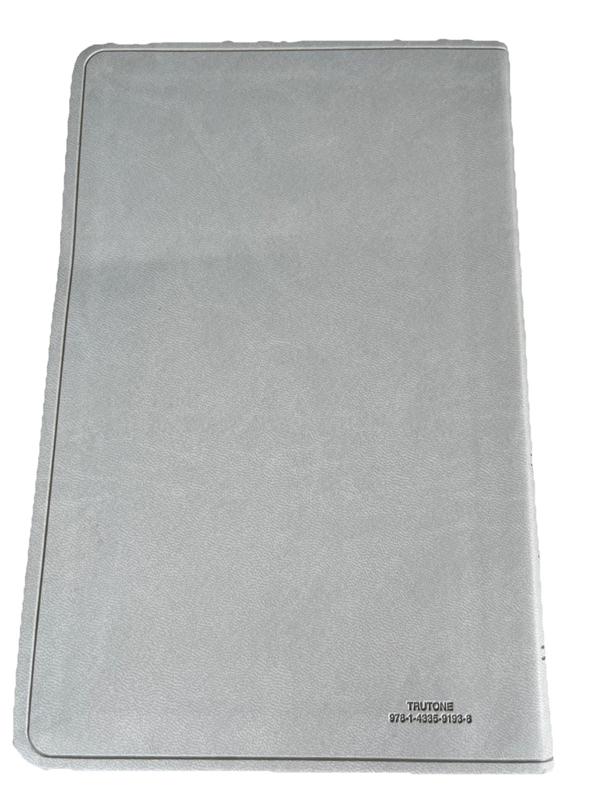 ESV Large Print Value Thinline Bible (Trutone, River Stone, Branch Design): New