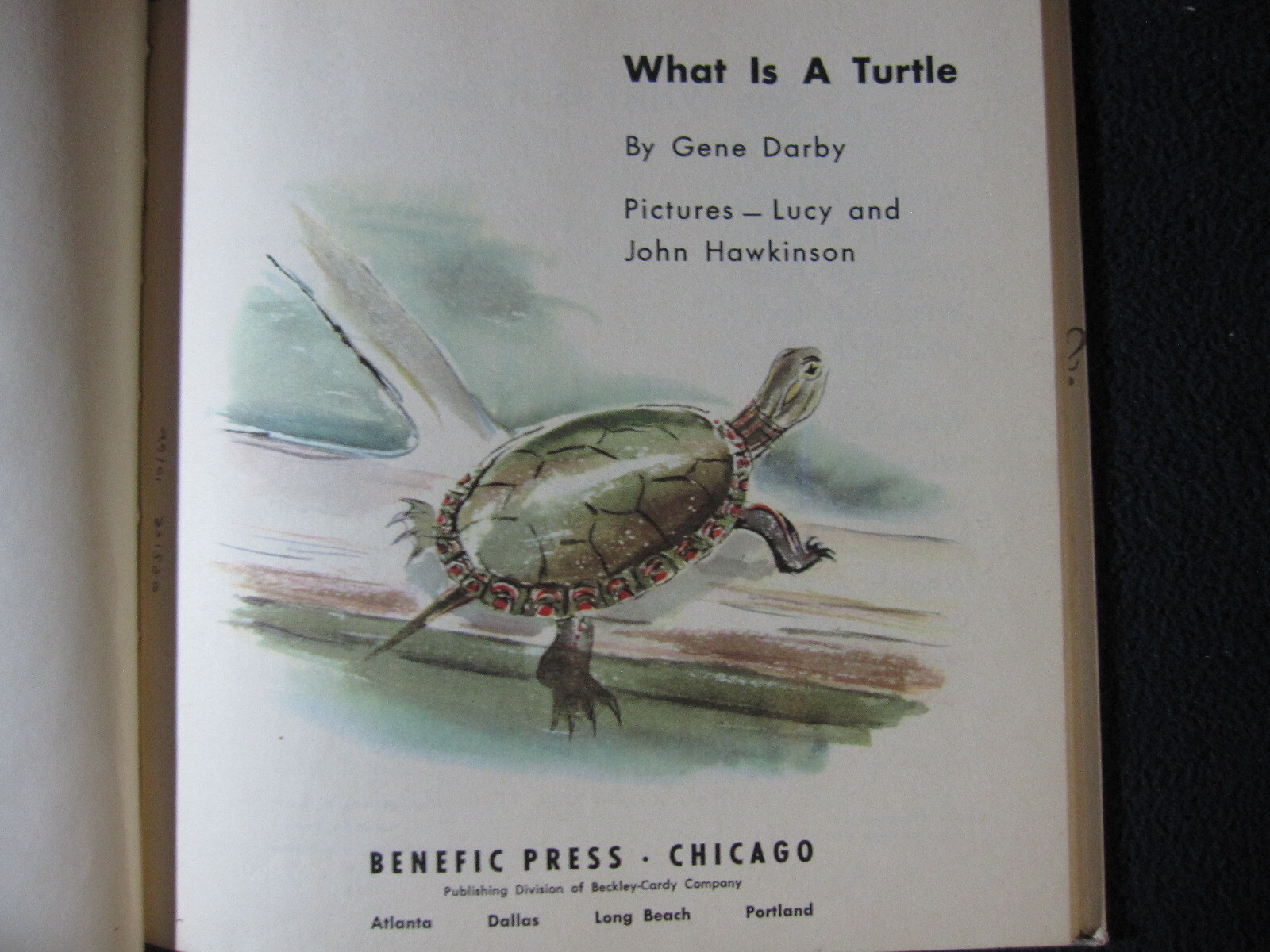 What is a Turtle [Hardcover] Gene Darby and Lucy and John Hawkinson