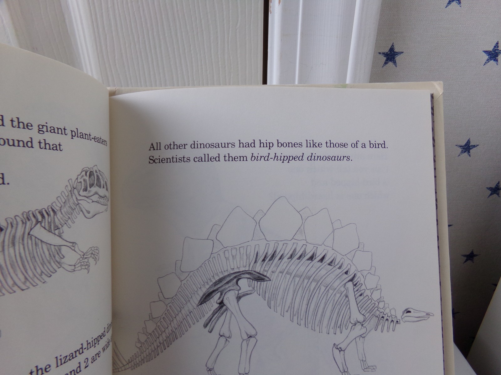 By Millicent E. Selsam A First Look at Dinosaurs Science Vtg Hardcover Book 1982