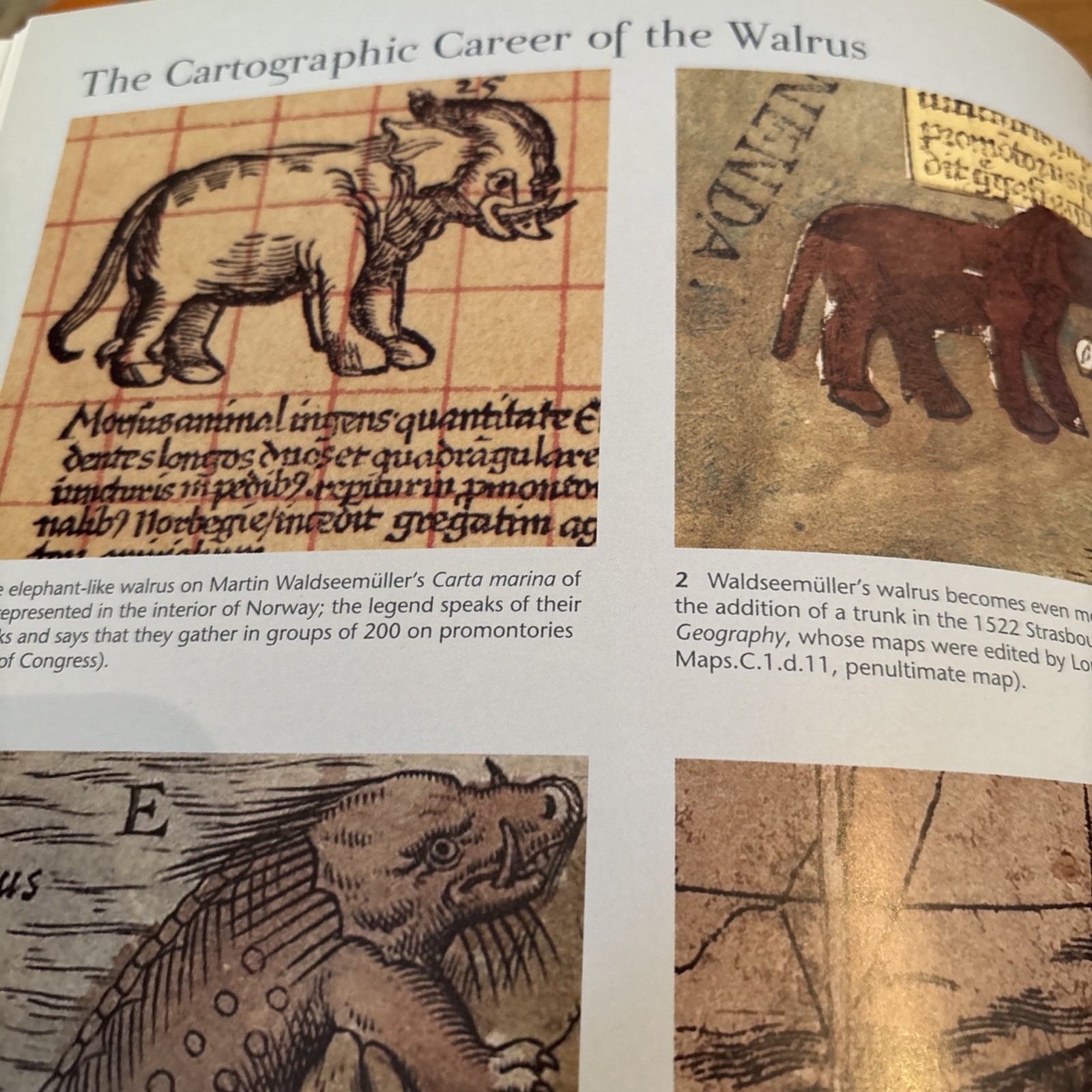 Sea Monsters on Medieval and Renaissance Maps by Chet van Duzer