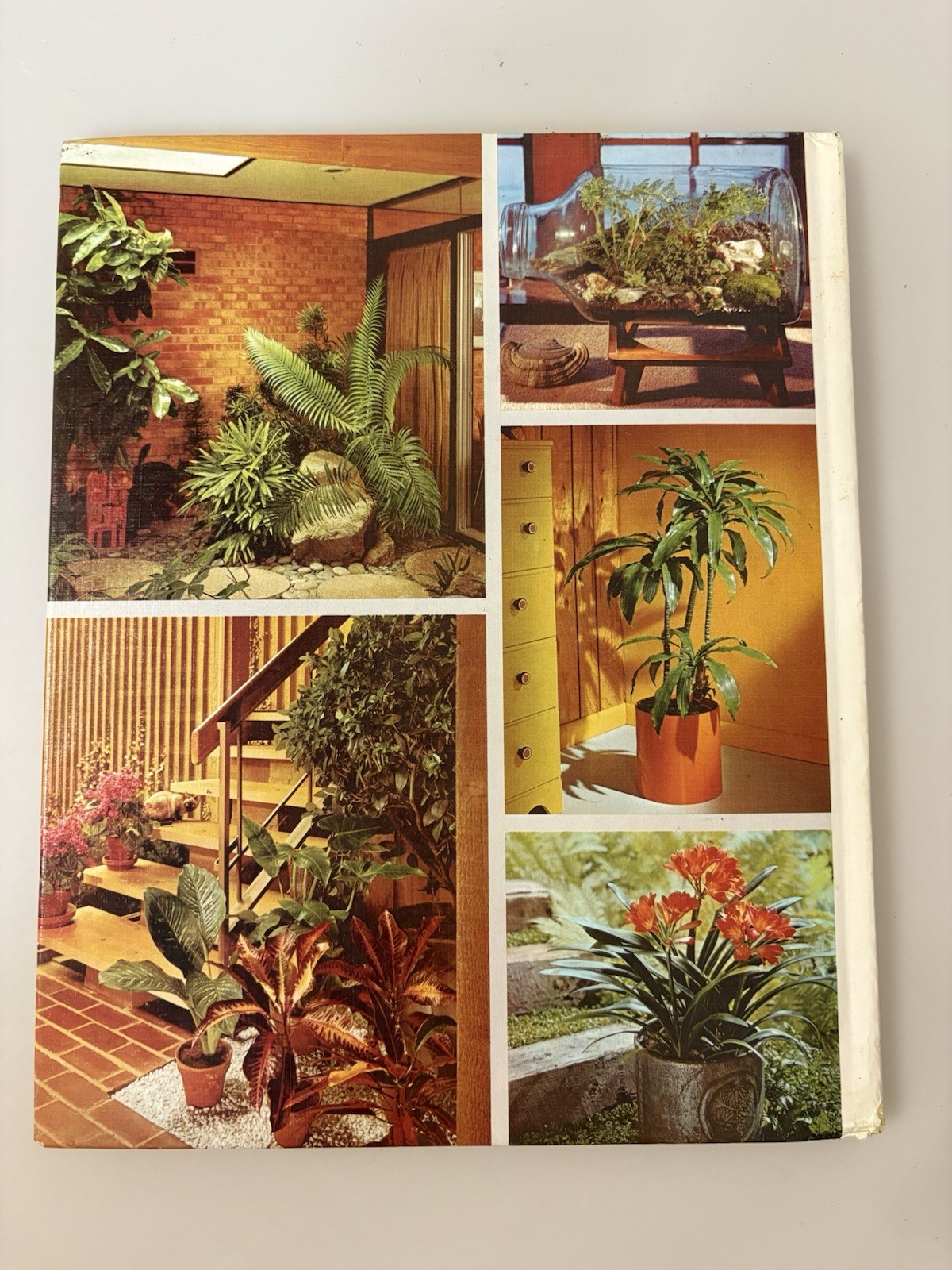 Better Homes and Gardens HOUSE PLANTS (1971) Meredith Corp- VERY GOOD COND