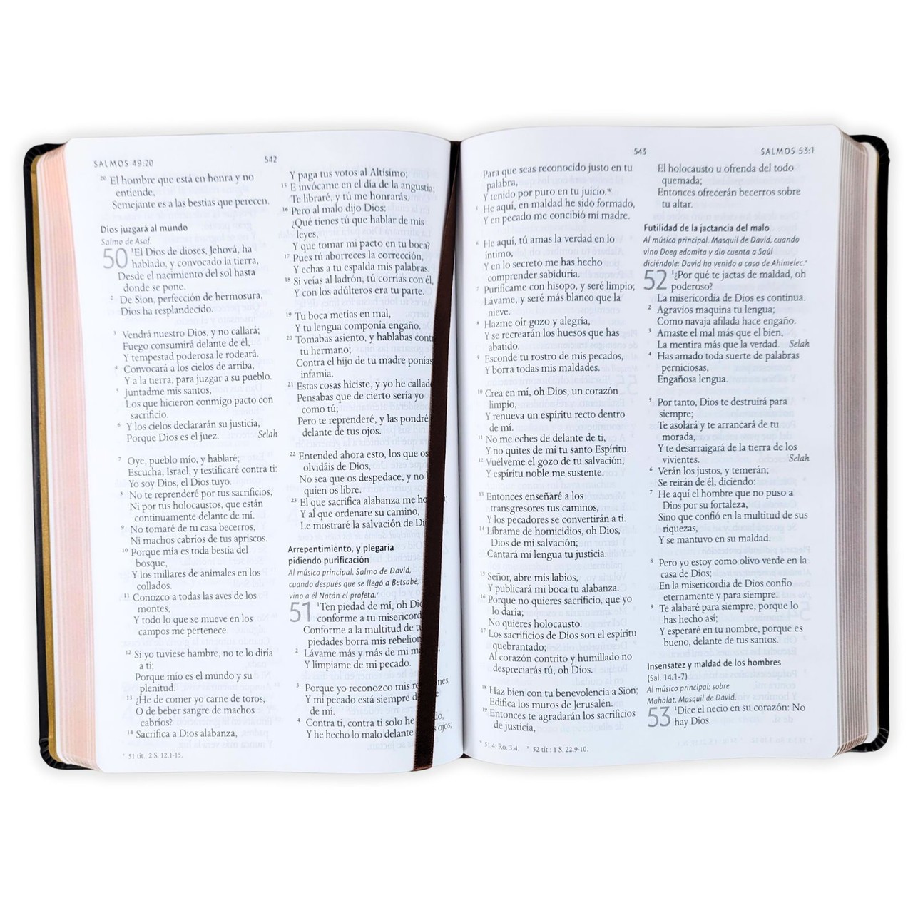 Biblia Edicion Especial 10.5 puntos RV1960, tapa dura leon de Juda, bronce