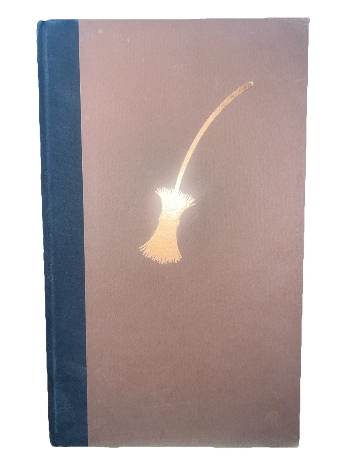 The Widow’s Broom – Hardcover By Van Allsburg, Chris – First Scholastic Edt 1993