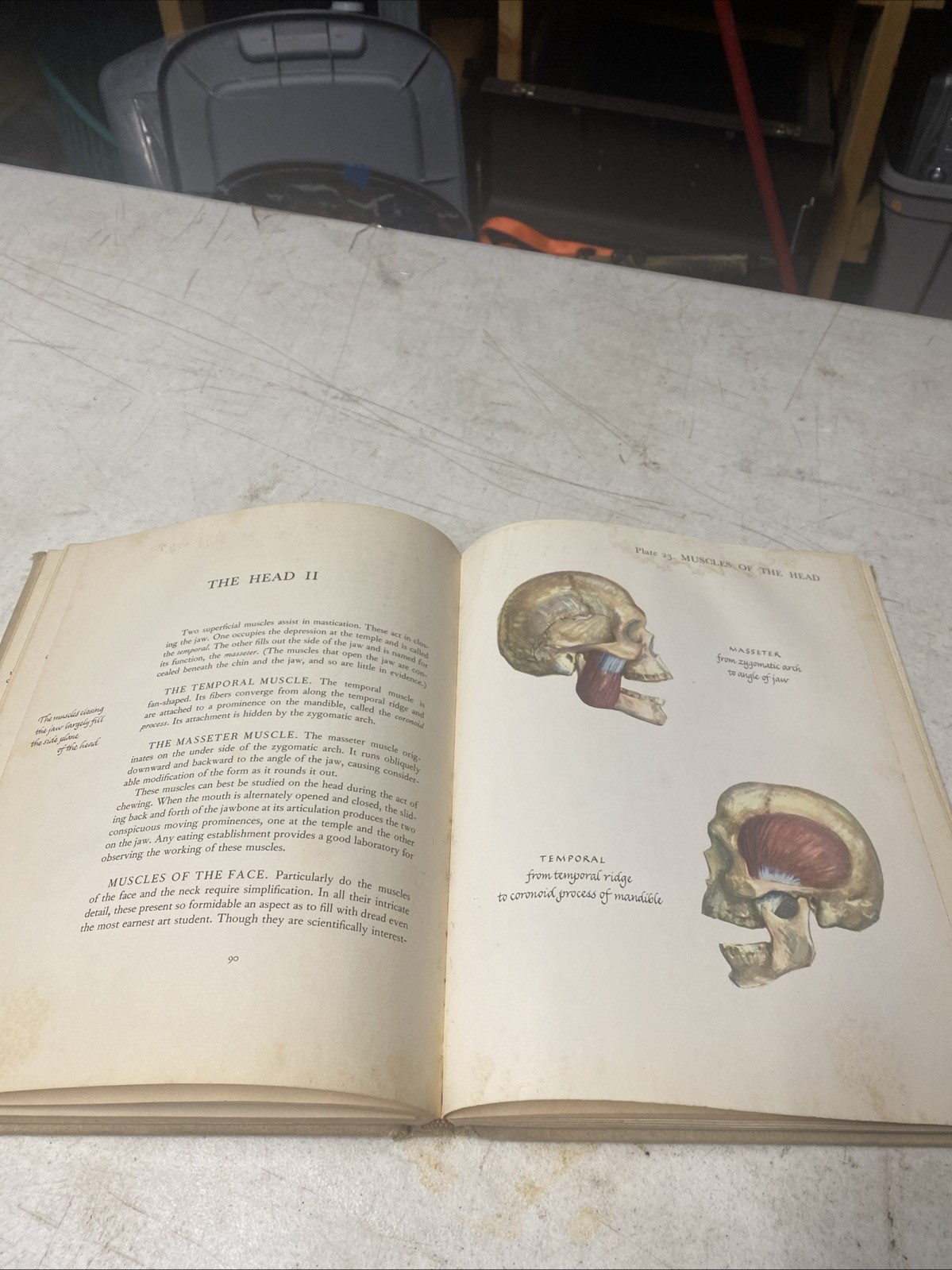 Anatomy and Construction of the Human Figure Perfect Charles Earl 1949