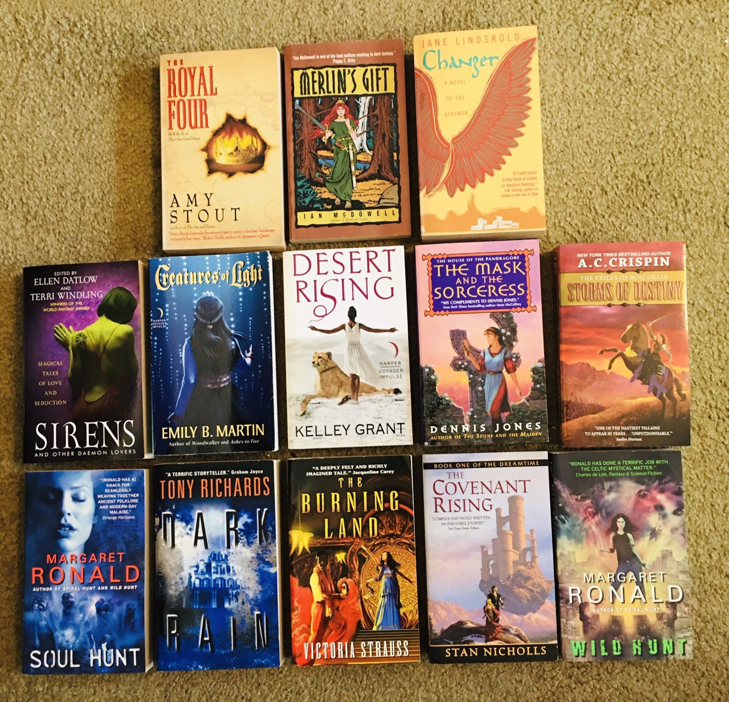 Lot 13 Vintage Fantasy YA Novels Stout Strauss Richards Ronald Crispin Jones New