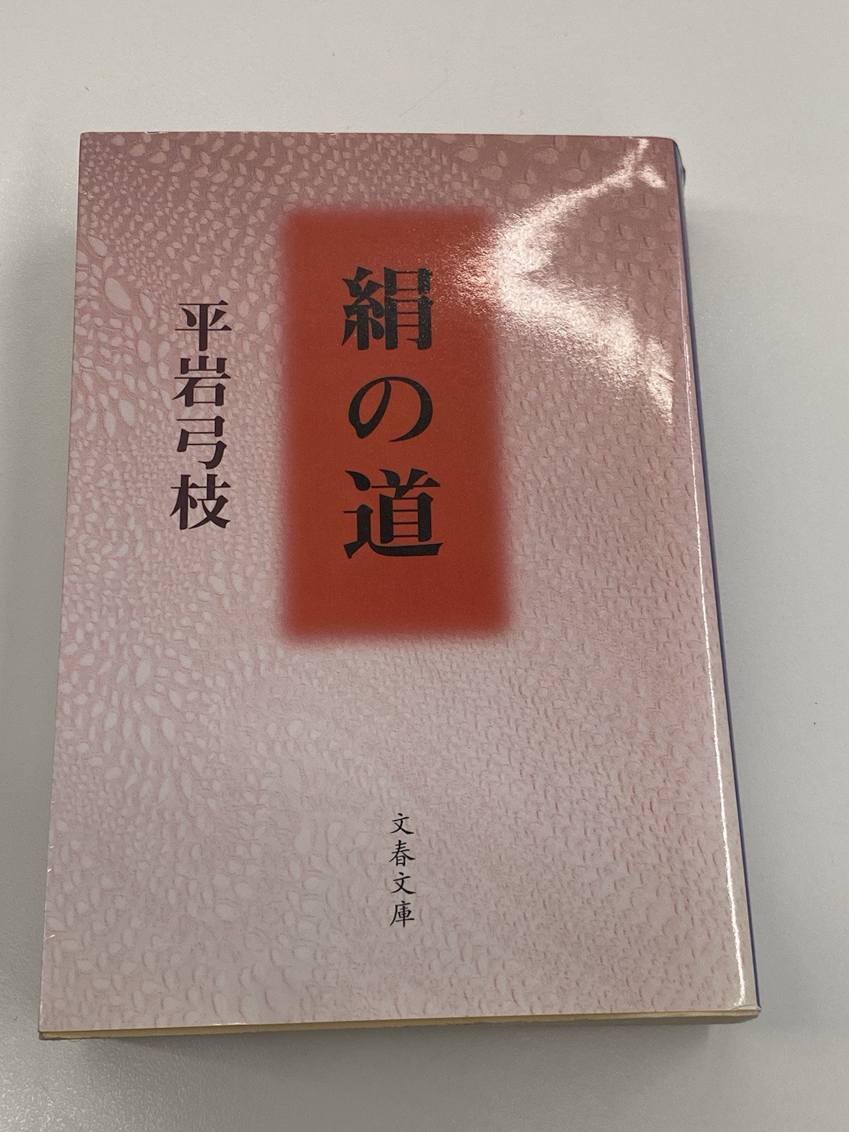 Japanese Book The Silk Road Historical Novel Yumie Hiraiwa Bunshun