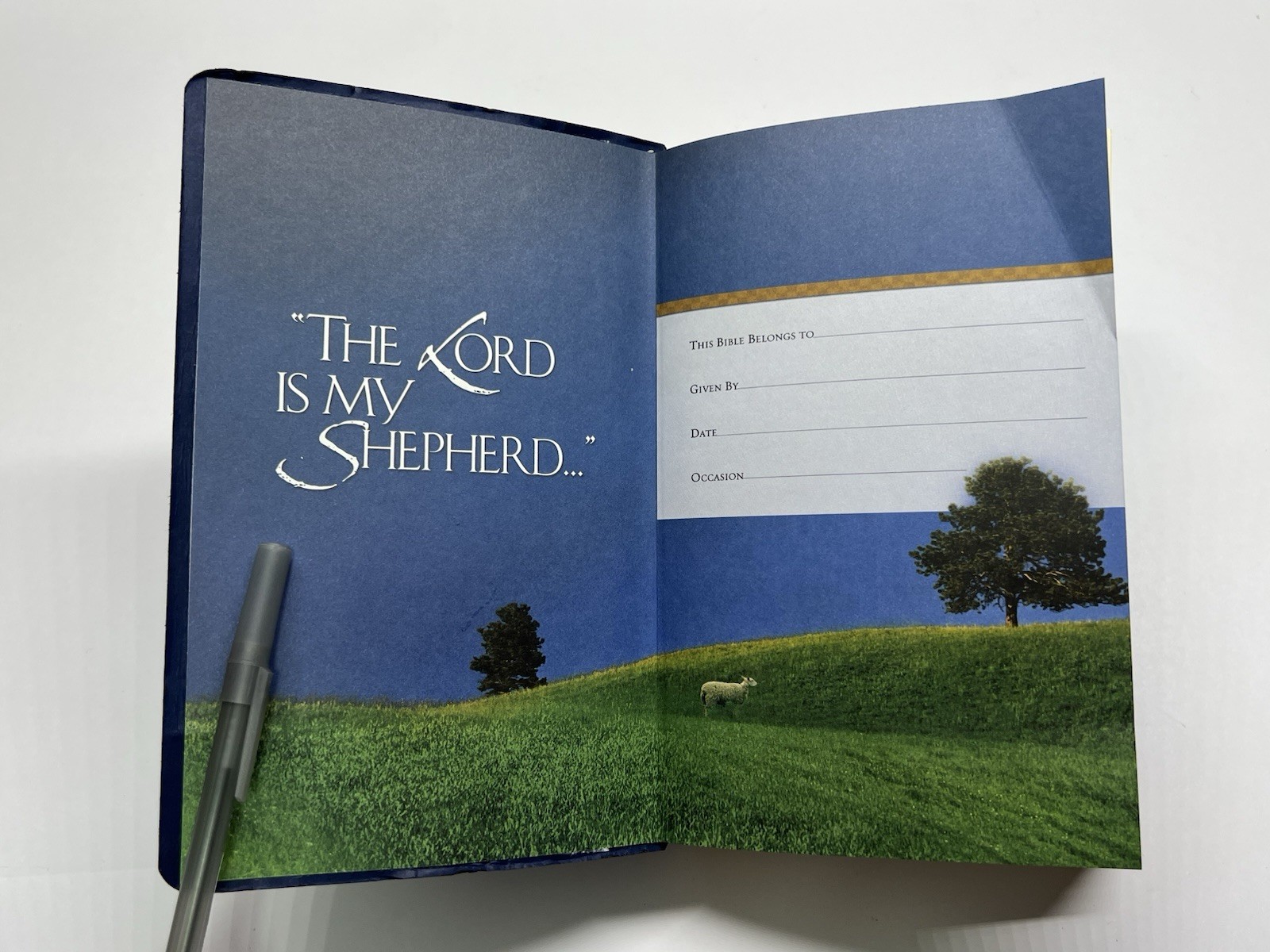 Holy Bible NKJV / Nelson / Dictionary Concordance