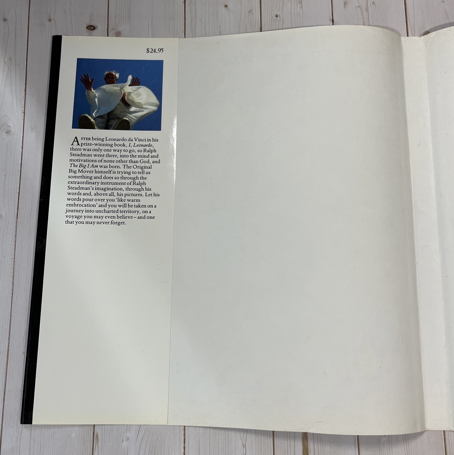 The Big I Am By Ralph Steadman – 1988 First Edition Summit Hardcover w/ DJ