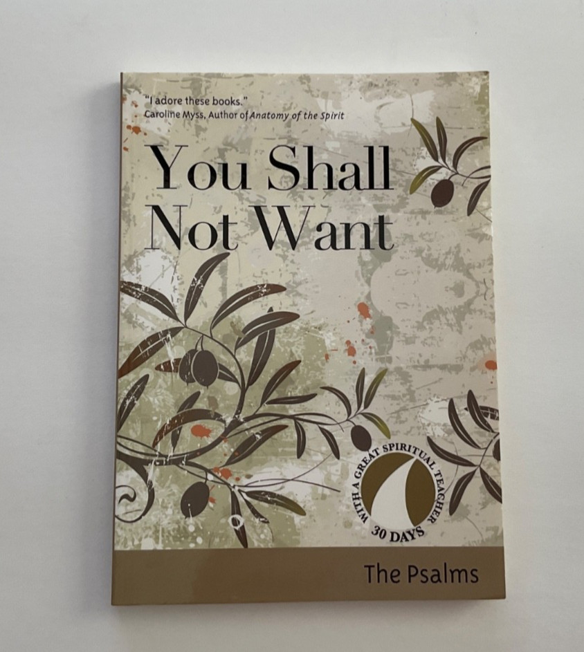 30 days of Spiritual Teaching.You Shall Not Want: The Psalms. Ave Maria Press