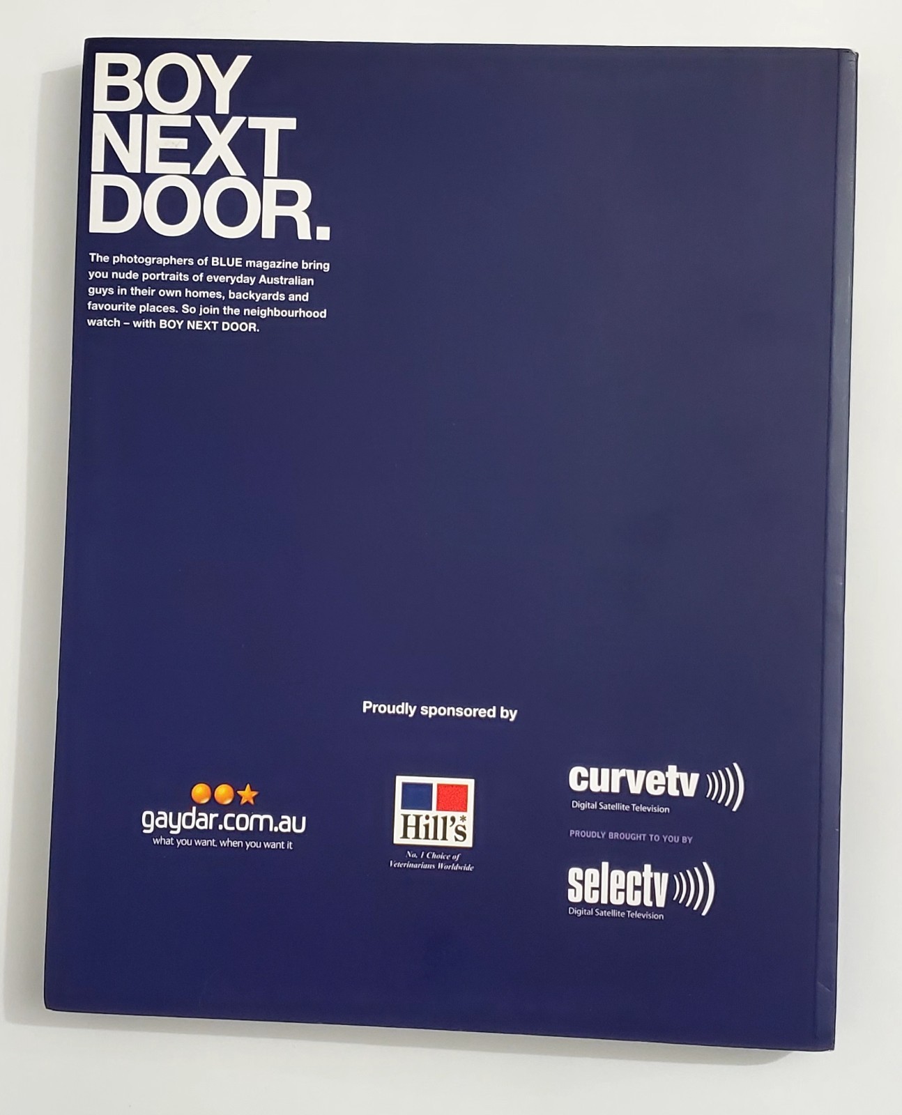 BOY NEXT DOOR BOOK Special Issue of BLUE / Gay Interest / Limited Edition