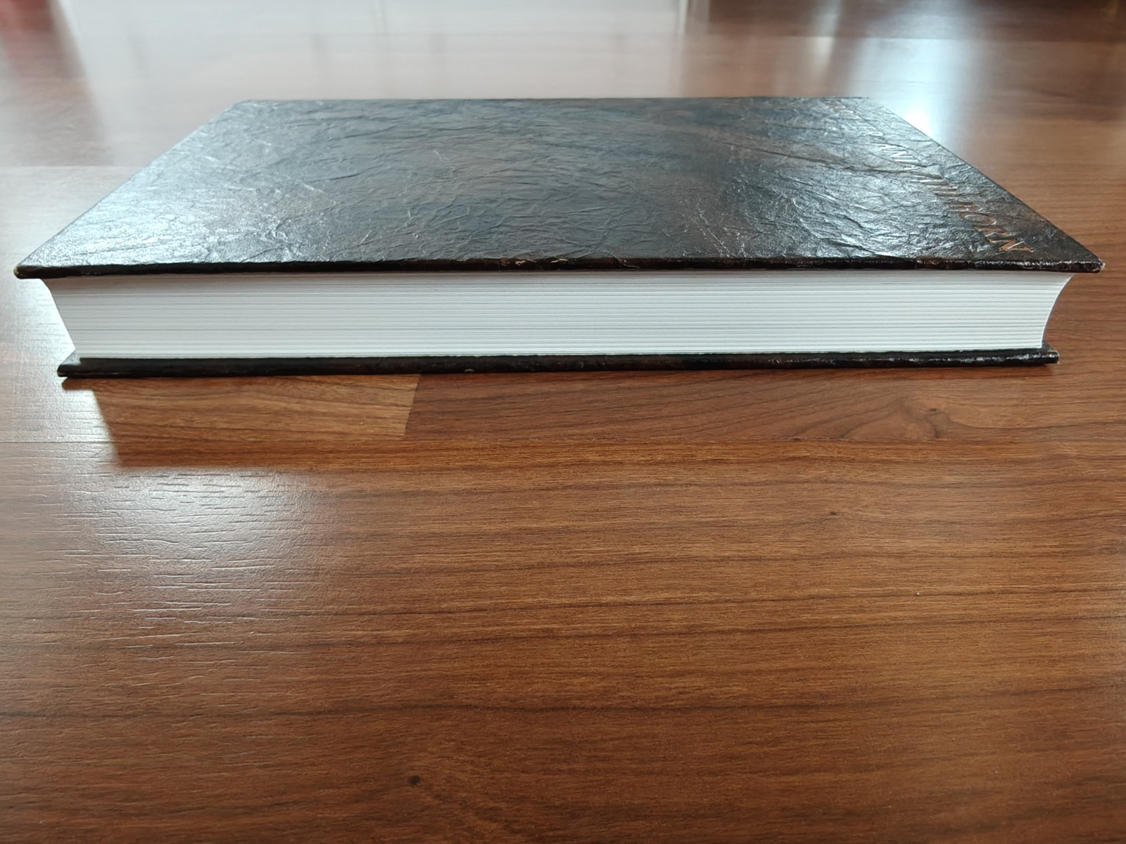 Numbered Limited Edition Of Brother By Ania Ahlborn From Suntup Editions