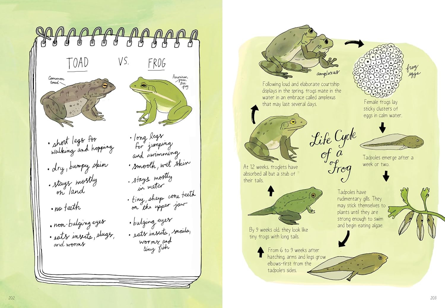 Nature Anatomy: The Curious Parts and Pieces of the Natural World