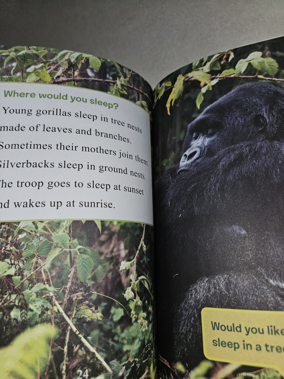 I Can Read Level 1 Ser.: Ranger Rick: I Wish I Was a Gorilla by Jennifer Bové…