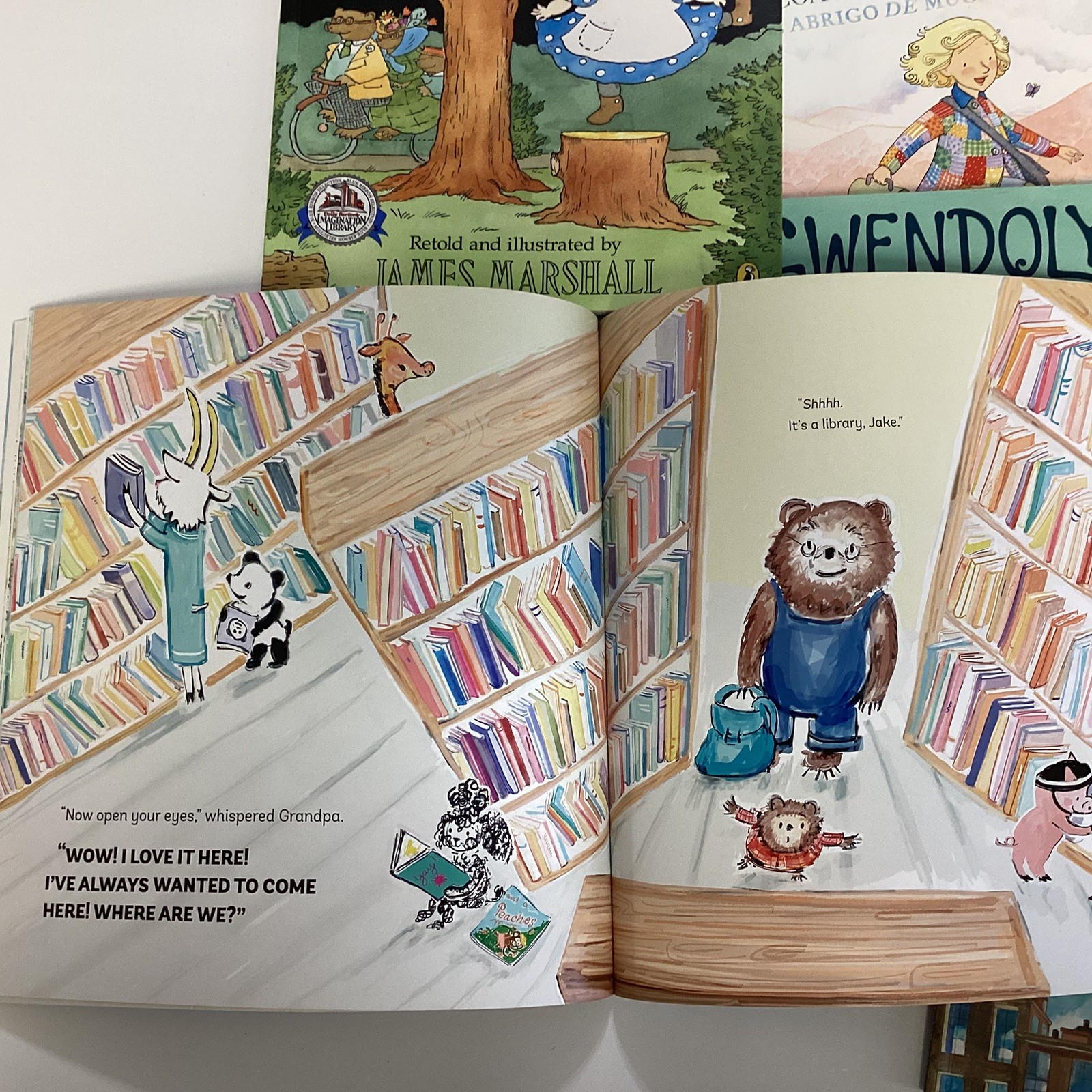 Picture Story Dolly Parton Imagination Library Day Care 20 Random Books Lot