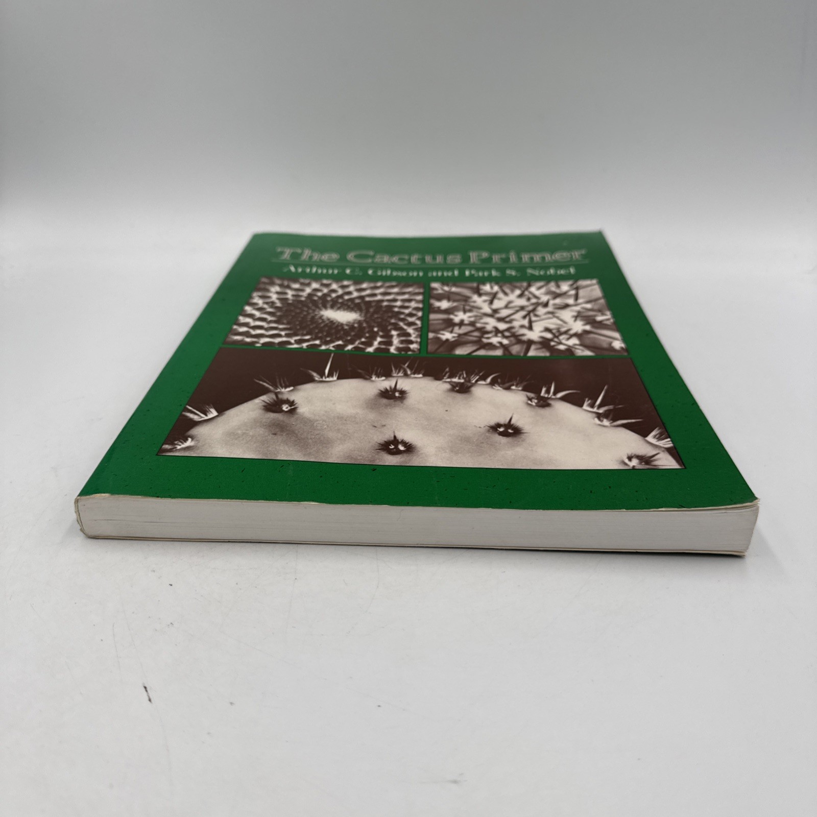 The Cactus Primer Paperback Arthur C., Nobel, Park S. Gibson