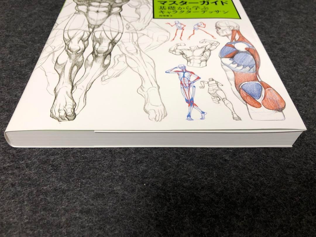 Master Guide to Drawing the Human Body: Character Drawing from the Basics book
