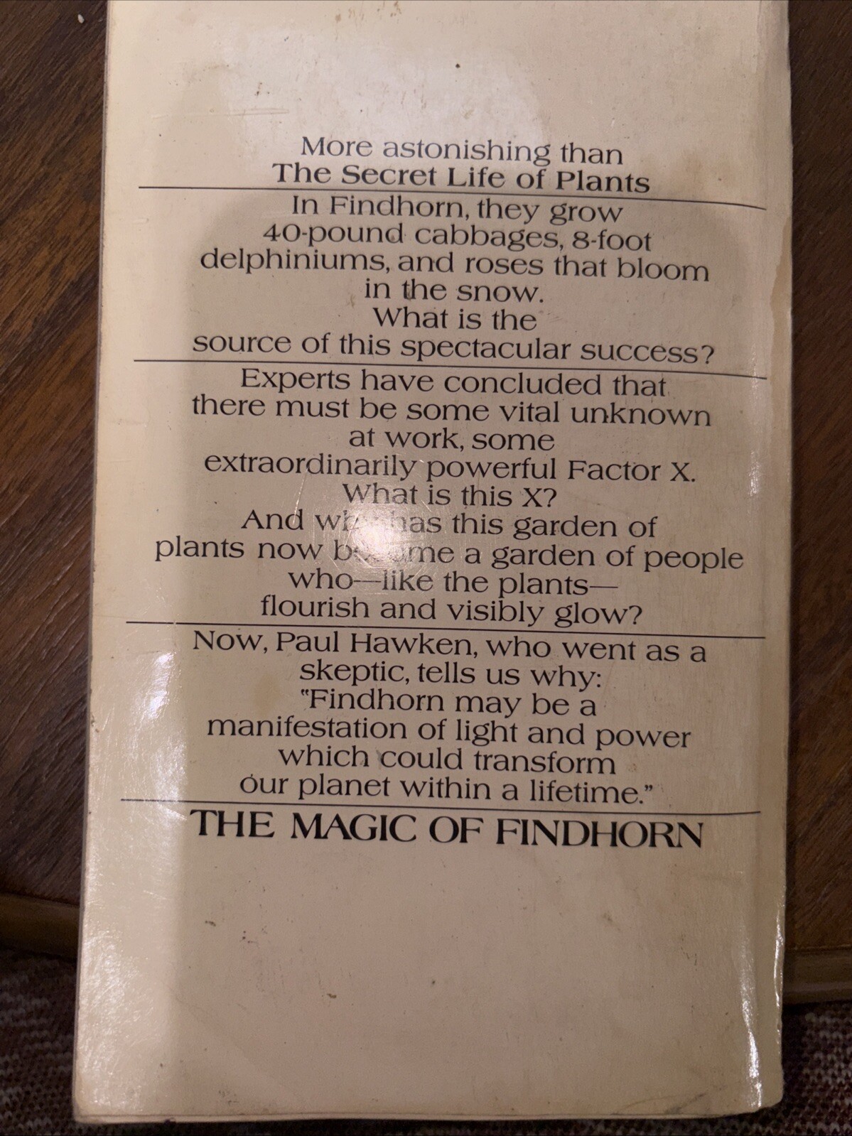 The magic of Findhorn A Bantam Book Paul Hawken PB 1976