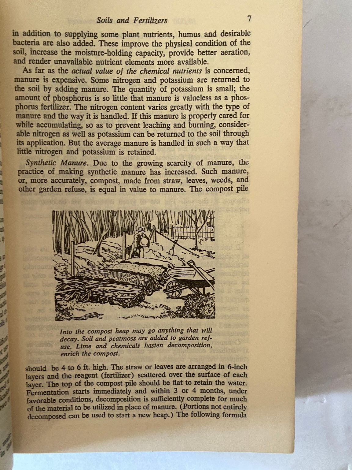 10,000 Garden Questions Rockwell NEW REVISED EDITION Doubleday Gardening