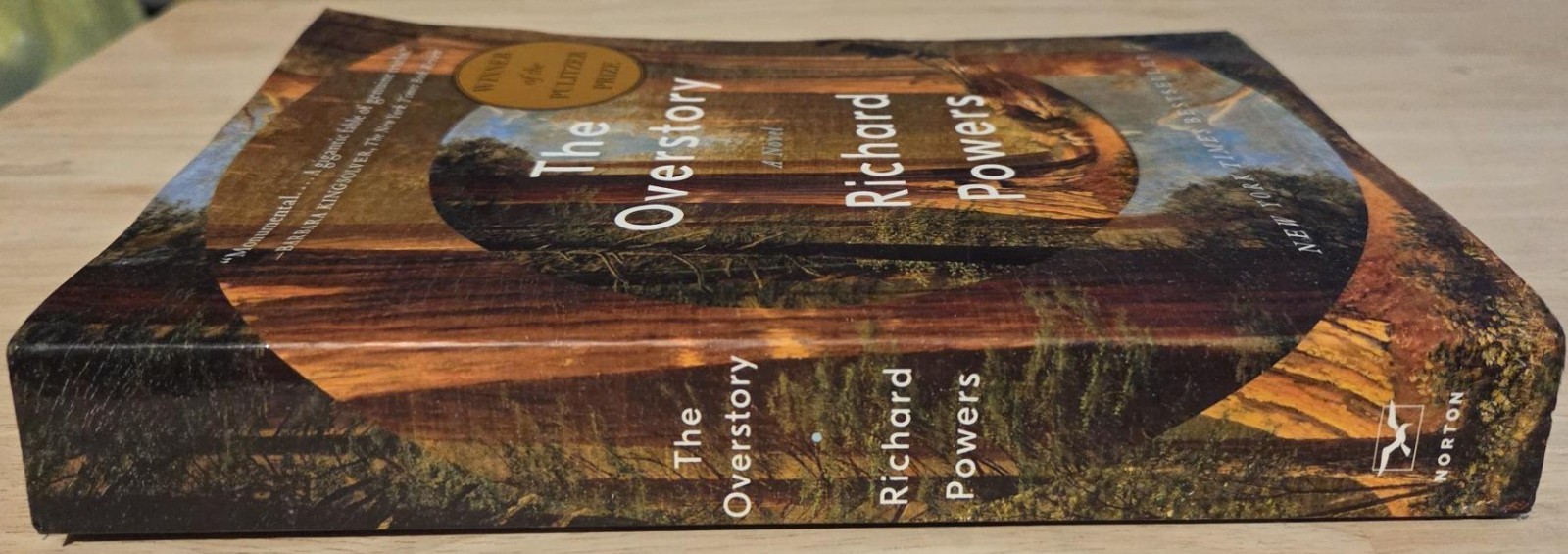 The Overstory | Richard Powers | 2019 | Paperback