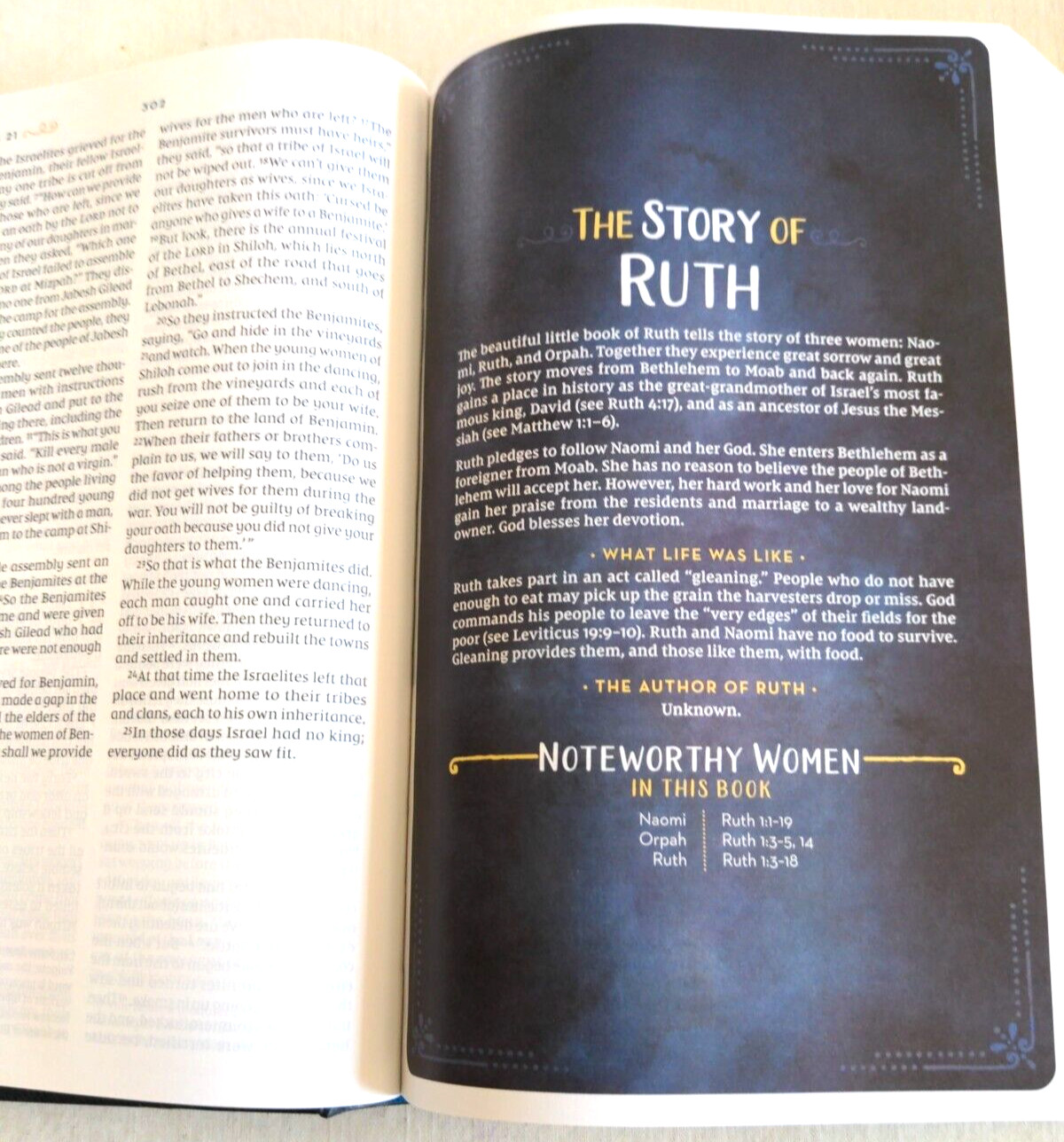 NIV, Kingdom Girls Bible, Full Color, Hardcover, Teal, Comfort Print ~ New!