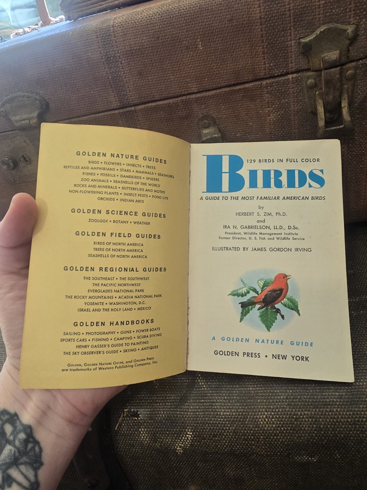Birds Golden Nature Guide Book 1956 Paperback Vintage Pocket Book American Birds