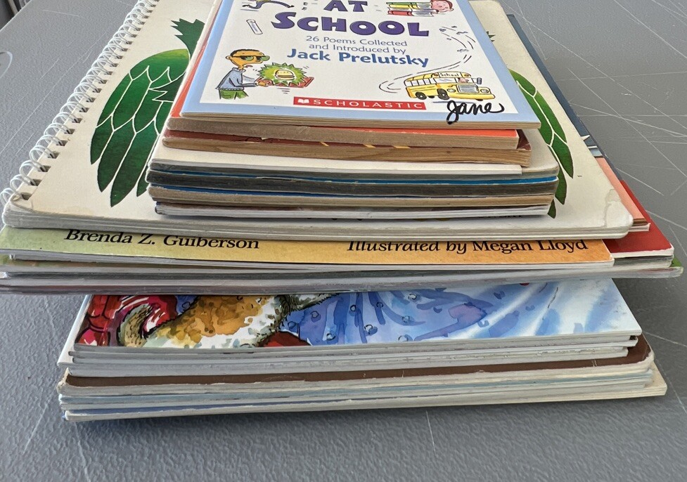 Mixed Lot of 30 Children’s Books Age 5-7 Paperback