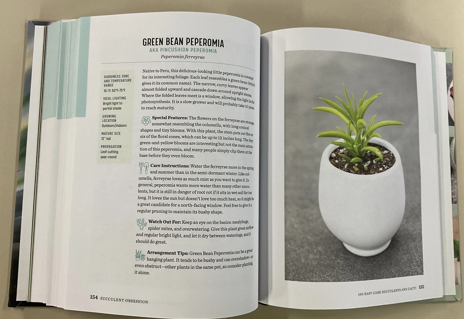 Succulent Obsession Complete Guide by Ken Shelf HC 2022 Rockridge Press