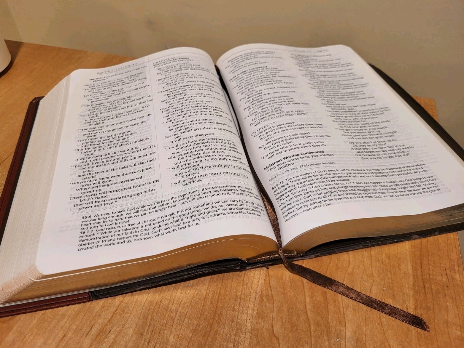 THE NEW LIVING BIBLE New Living Translation TWO TONE SOFTCOVER Tyndale 2004